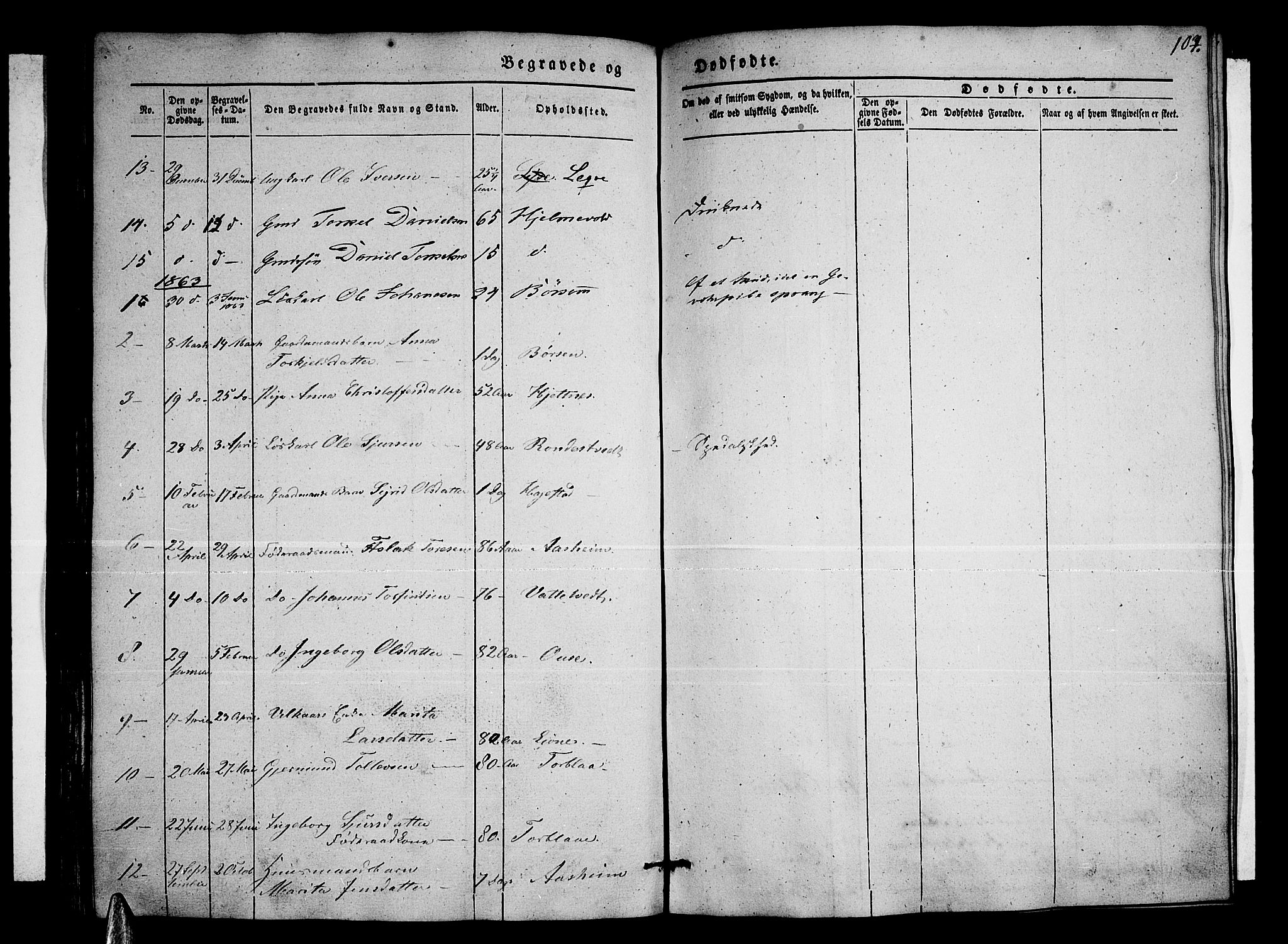 Ulvik sokneprestembete, SAB/A-78801/H/Hab: Parish register (copy) no. A 1, 1855-1868, p. 107
