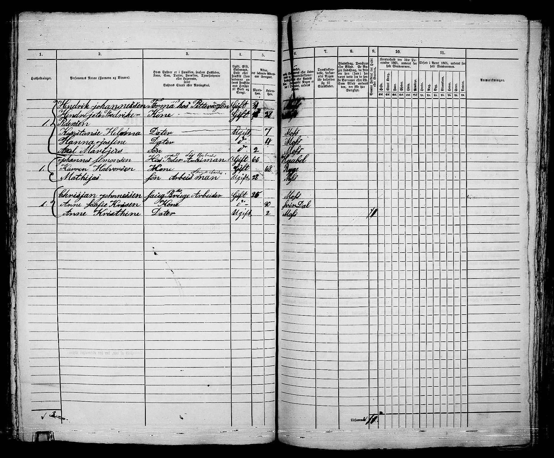 RA, 1865 census for Moss/Moss, 1865, p. 254