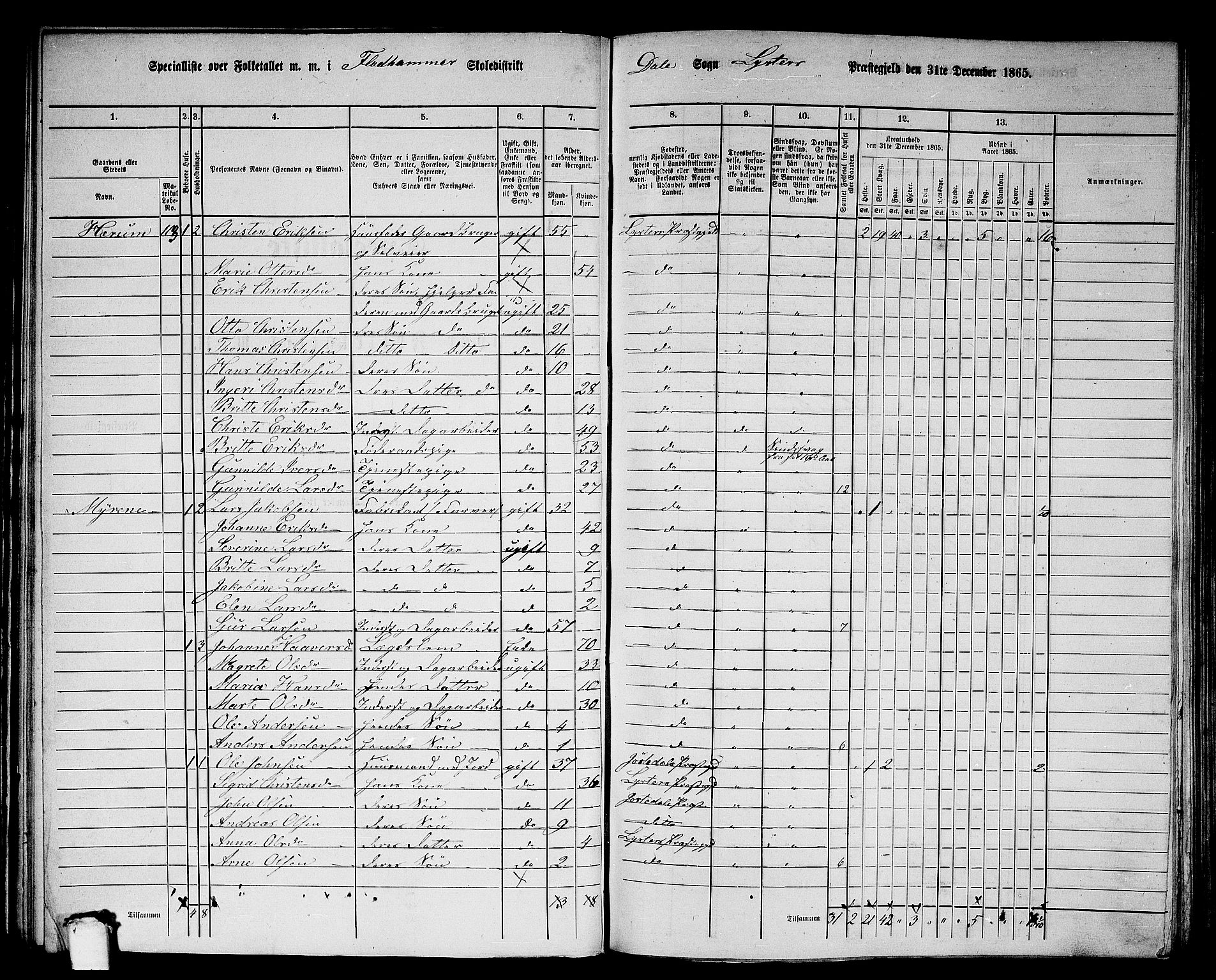 RA, 1865 census for Luster, 1865, p. 65