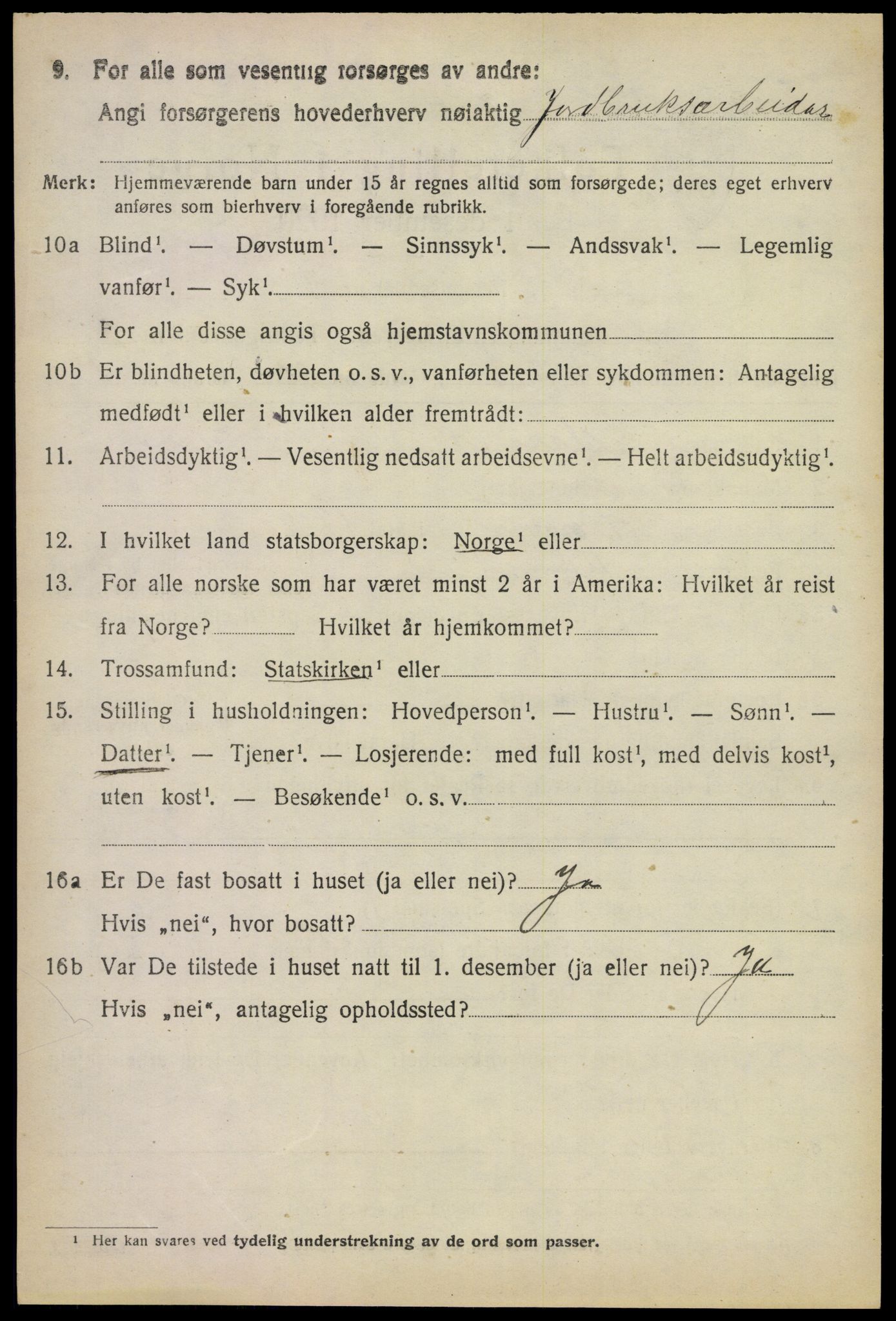 SAKO, 1920 census for Rauland, 1920, p. 803