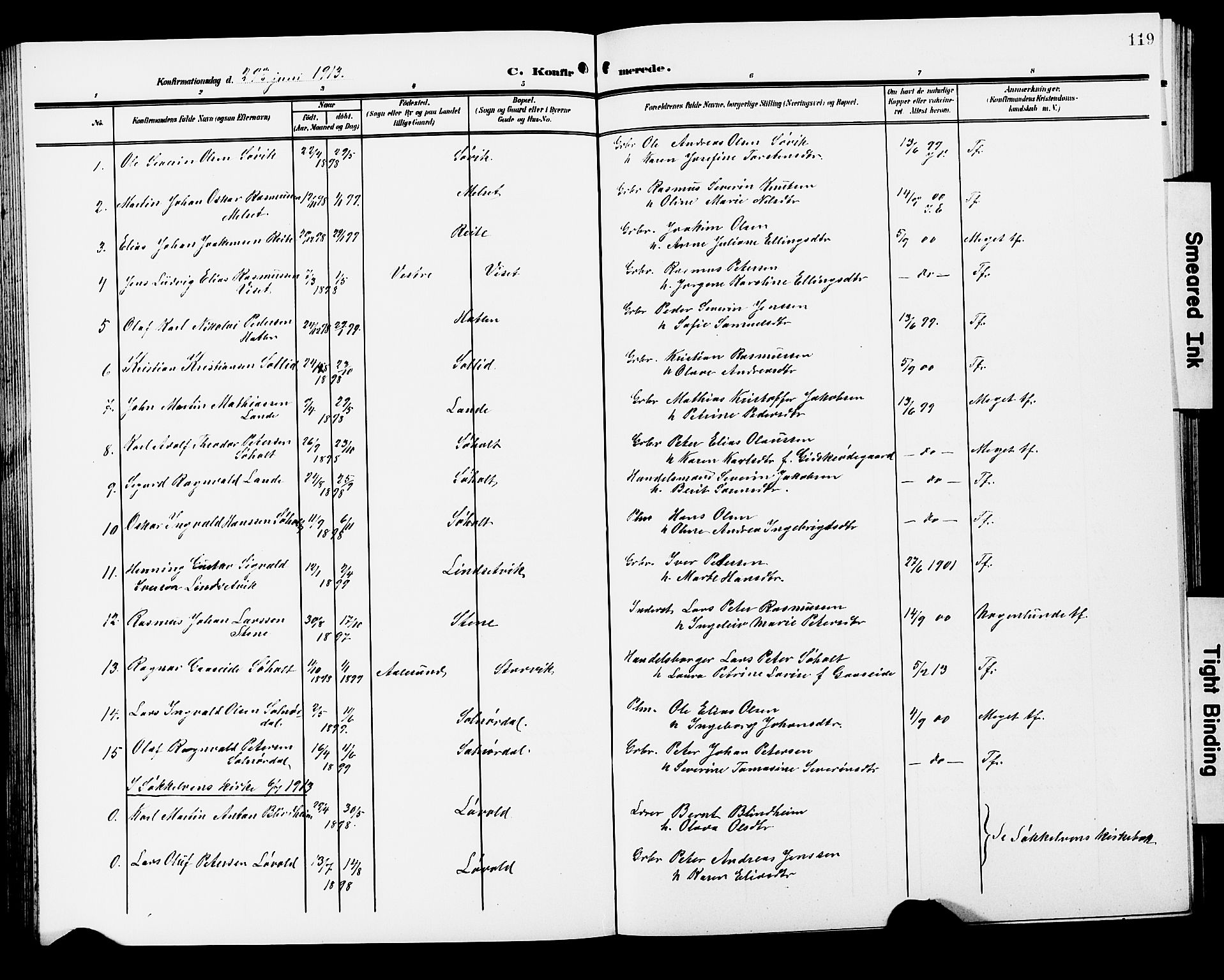 Ministerialprotokoller, klokkerbøker og fødselsregistre - Møre og Romsdal, AV/SAT-A-1454/522/L0328: Parish register (copy) no. 522C07, 1909-1925, p. 119