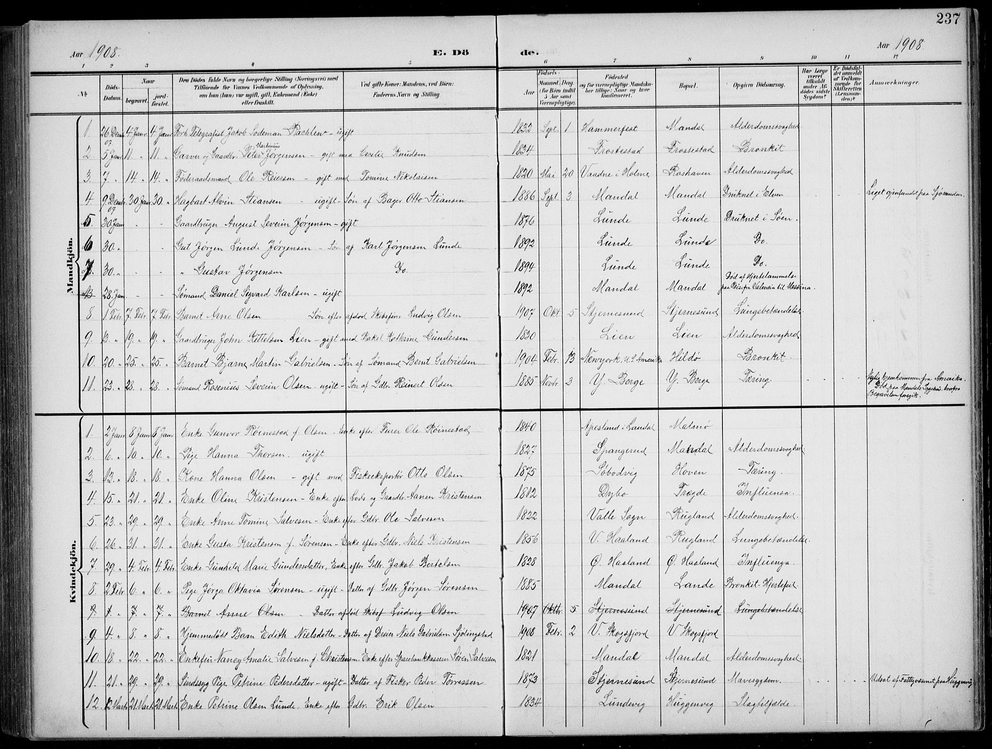 Mandal sokneprestkontor, AV/SAK-1111-0030/F/Fb/Fba/L0012: Parish register (copy) no. B 6, 1899-1918, p. 237