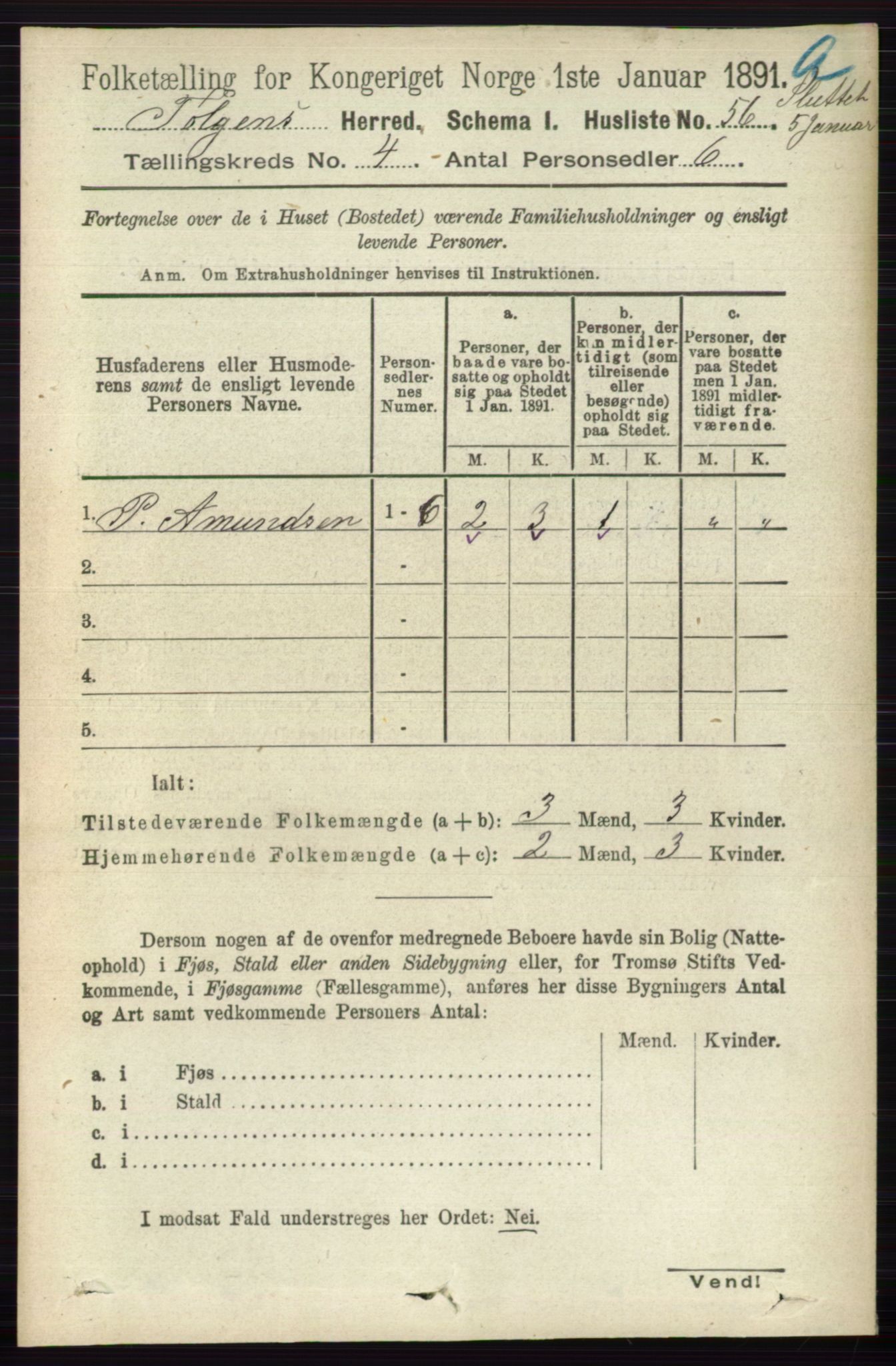 RA, 1891 census for 0436 Tolga, 1891, p. 875
