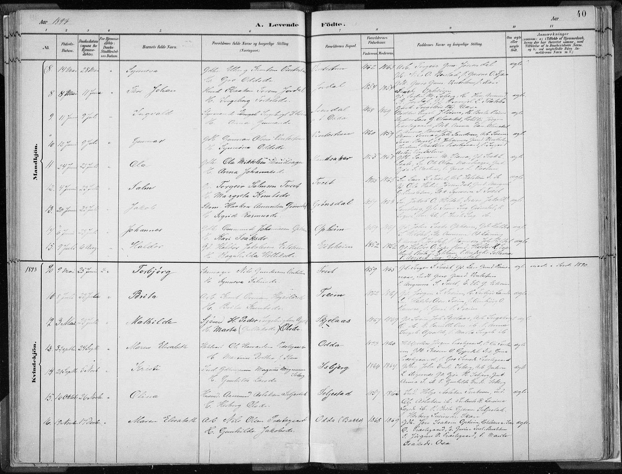 Odda Sokneprestembete, SAB/A-77201/H/Haa: Parish register (official) no. A  3, 1882-1913, p. 40
