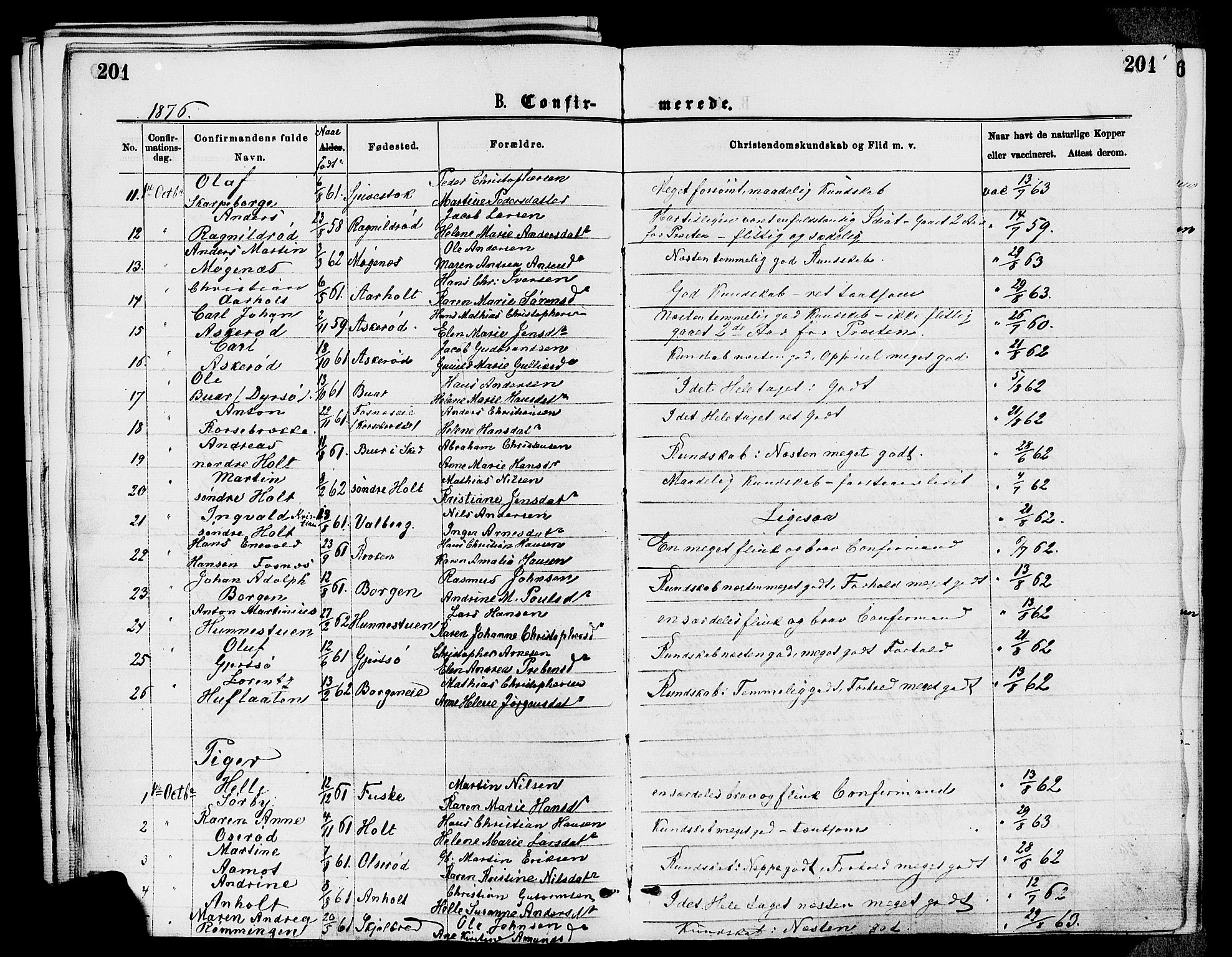 Stokke kirkebøker, AV/SAKO-A-320/F/Fa/L0009: Parish register (official) no. I 9, 1872-1883, p. 201