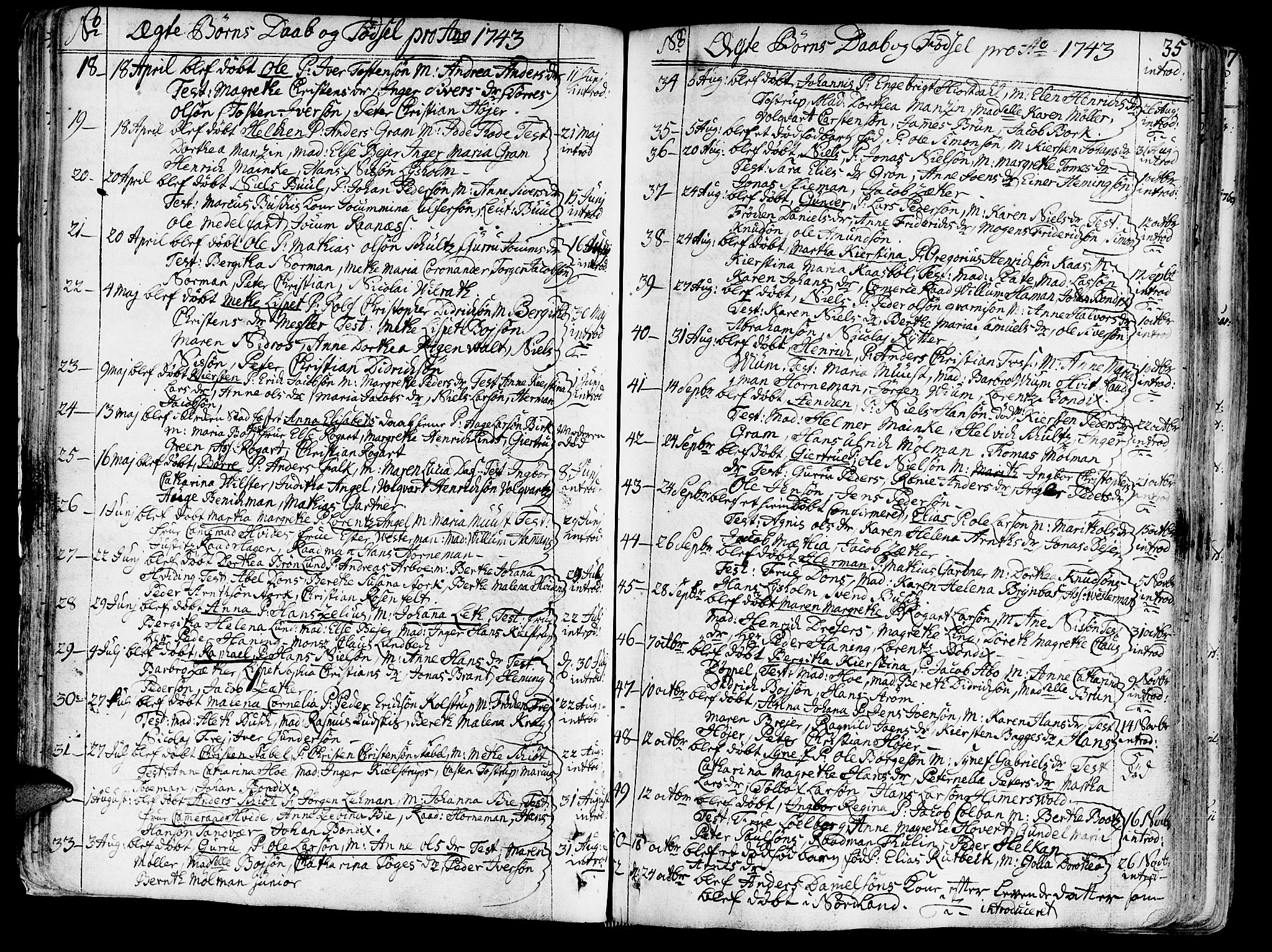 Ministerialprotokoller, klokkerbøker og fødselsregistre - Sør-Trøndelag, SAT/A-1456/602/L0103: Parish register (official) no. 602A01, 1732-1774, p. 35