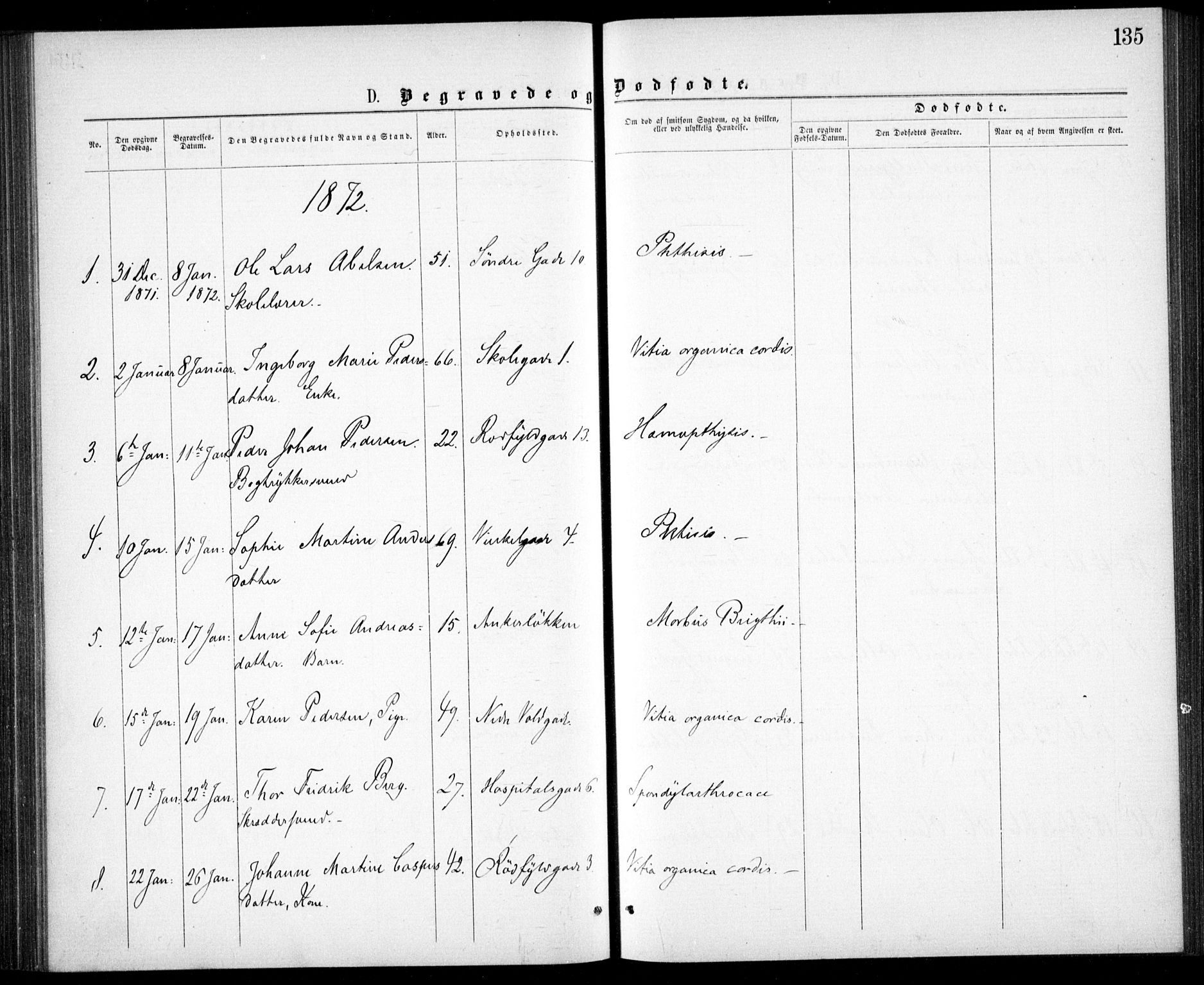 Krohgstøtten sykehusprest Kirkebøker, SAO/A-10854/F/Fa/L0001: Parish register (official) no. 1, 1865-1873, p. 135