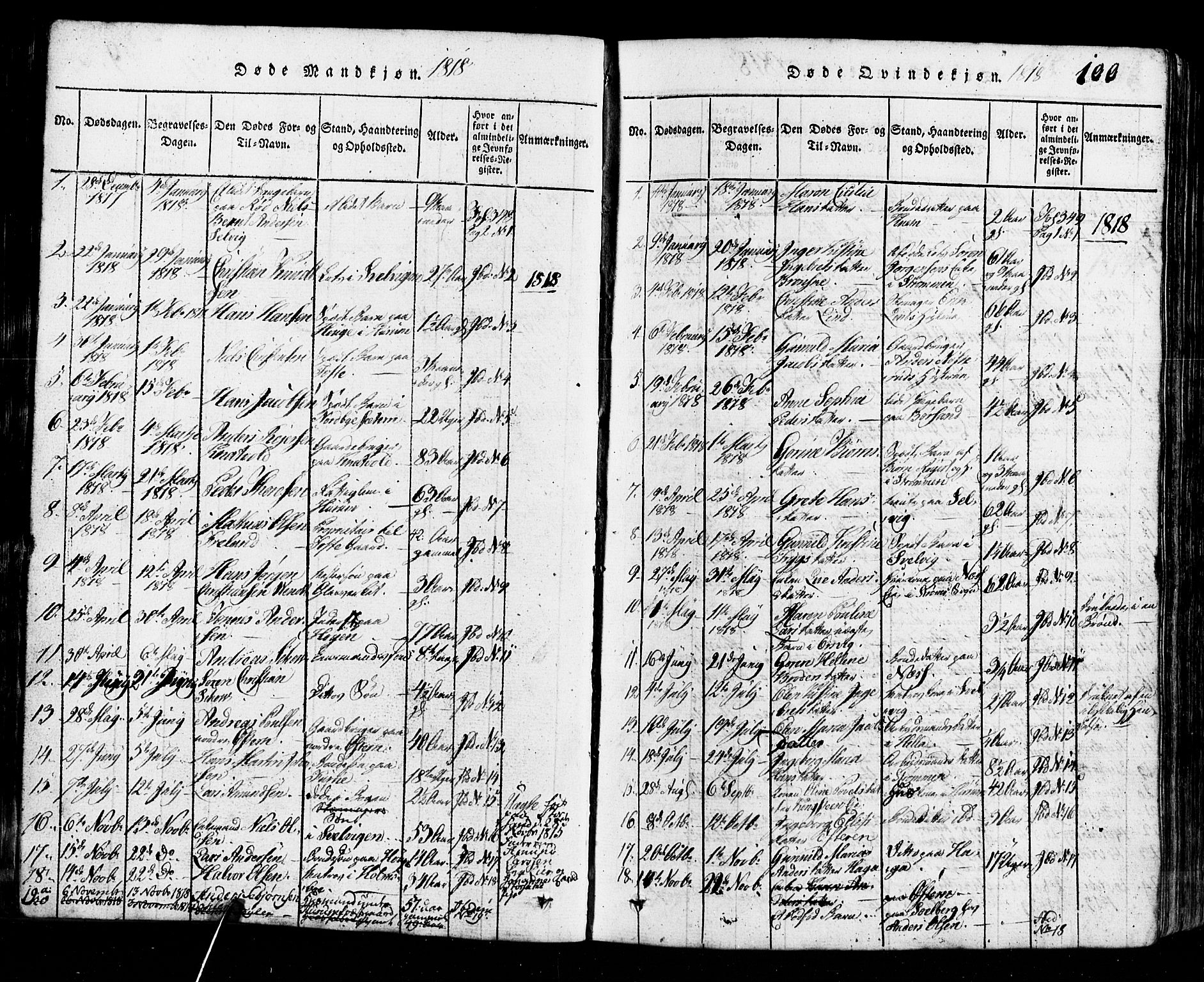 Hurum kirkebøker, SAKO/A-229/G/Ga/L0001: Parish register (copy) no. I 1, 1816-1826, p. 100