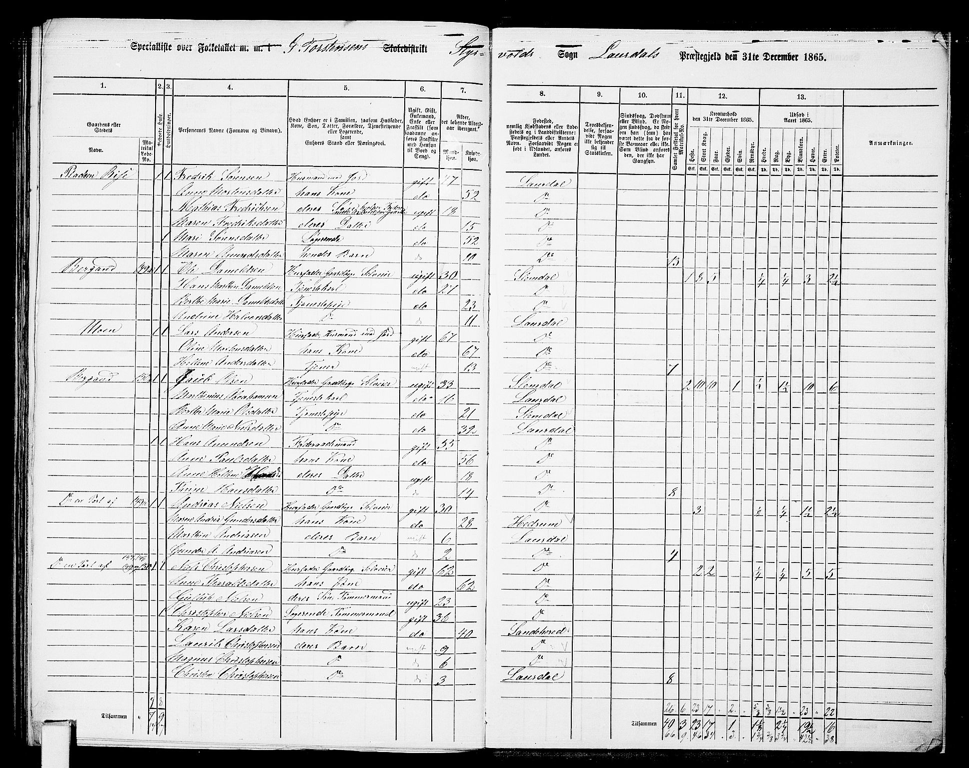 RA, 1865 census for Lardal, 1865, p. 107