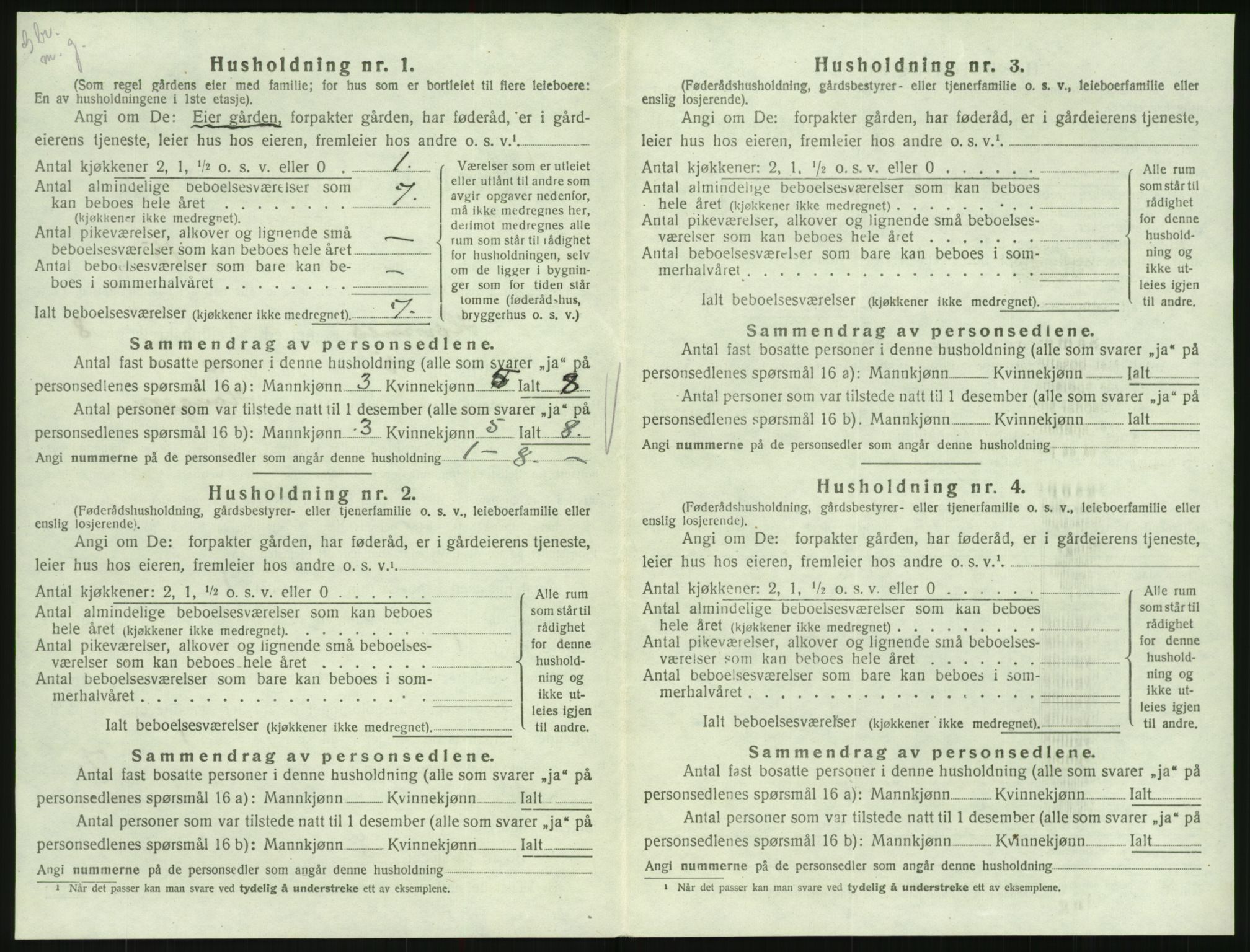SAK, 1920 census for Hornnes, 1920, p. 324