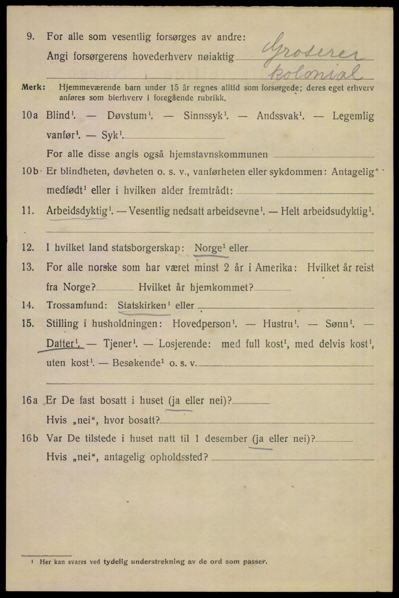 SAKO, 1920 census for Skien, 1920, p. 41281