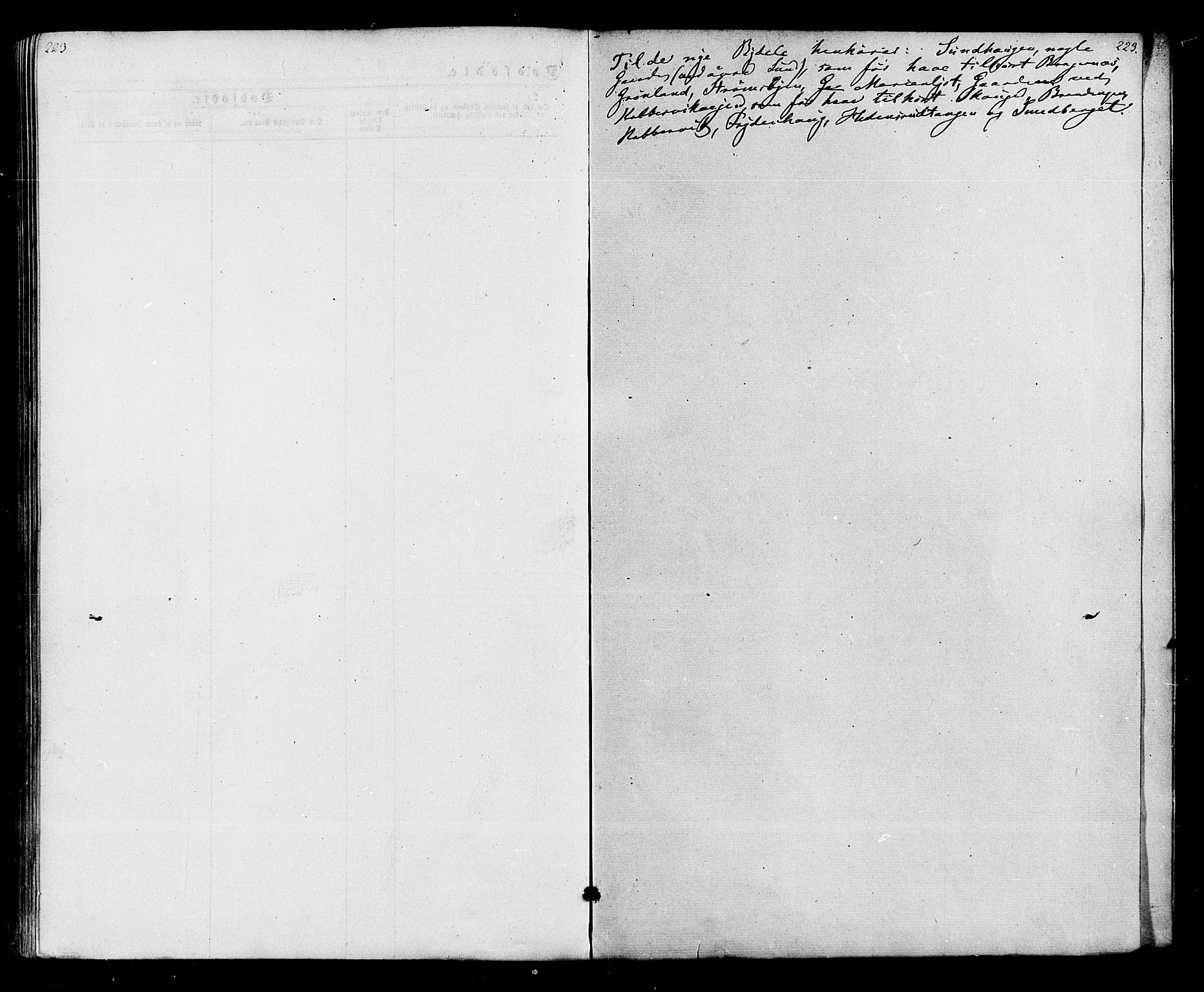 Strømsø kirkebøker, AV/SAKO-A-246/F/Fa/L0020: Parish register (official) no. I 20, 1870-1878, p. 223