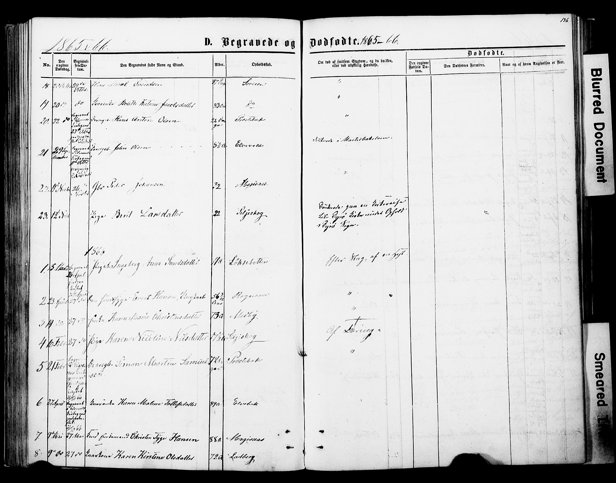 Ibestad sokneprestembete, SATØ/S-0077/H/Ha/Haa/L0013kirke: Parish register (official) no. 13, 1865-1879, p. 136