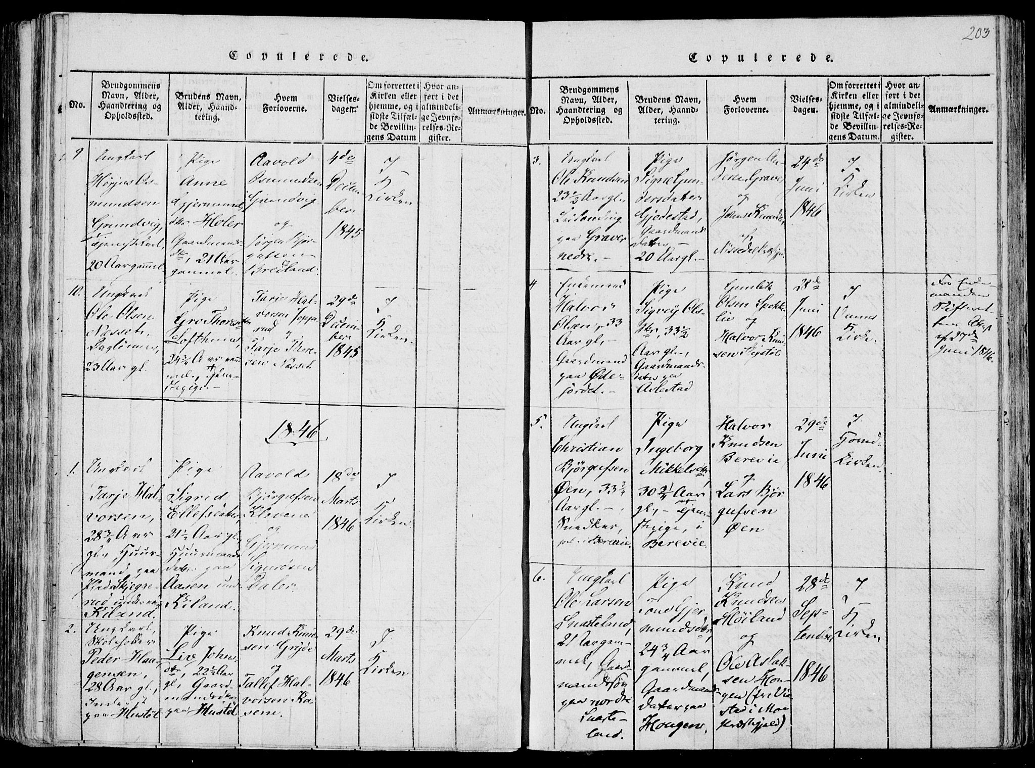 Fyresdal kirkebøker, AV/SAKO-A-263/F/Fa/L0004: Parish register (official) no. I 4, 1815-1854, p. 203