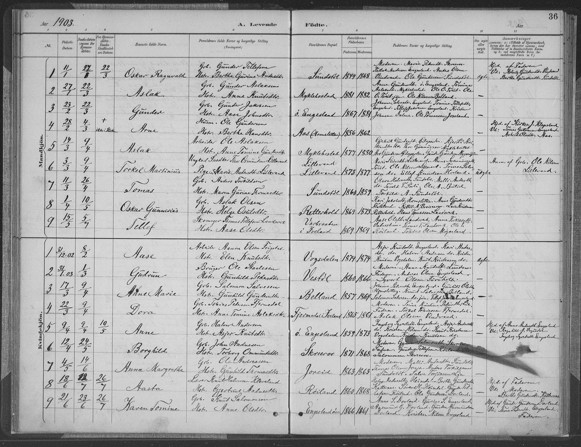 Herefoss sokneprestkontor, SAK/1111-0019/F/Fa/Fab/L0004: Parish register (official) no. A 4, 1887-1909, p. 36