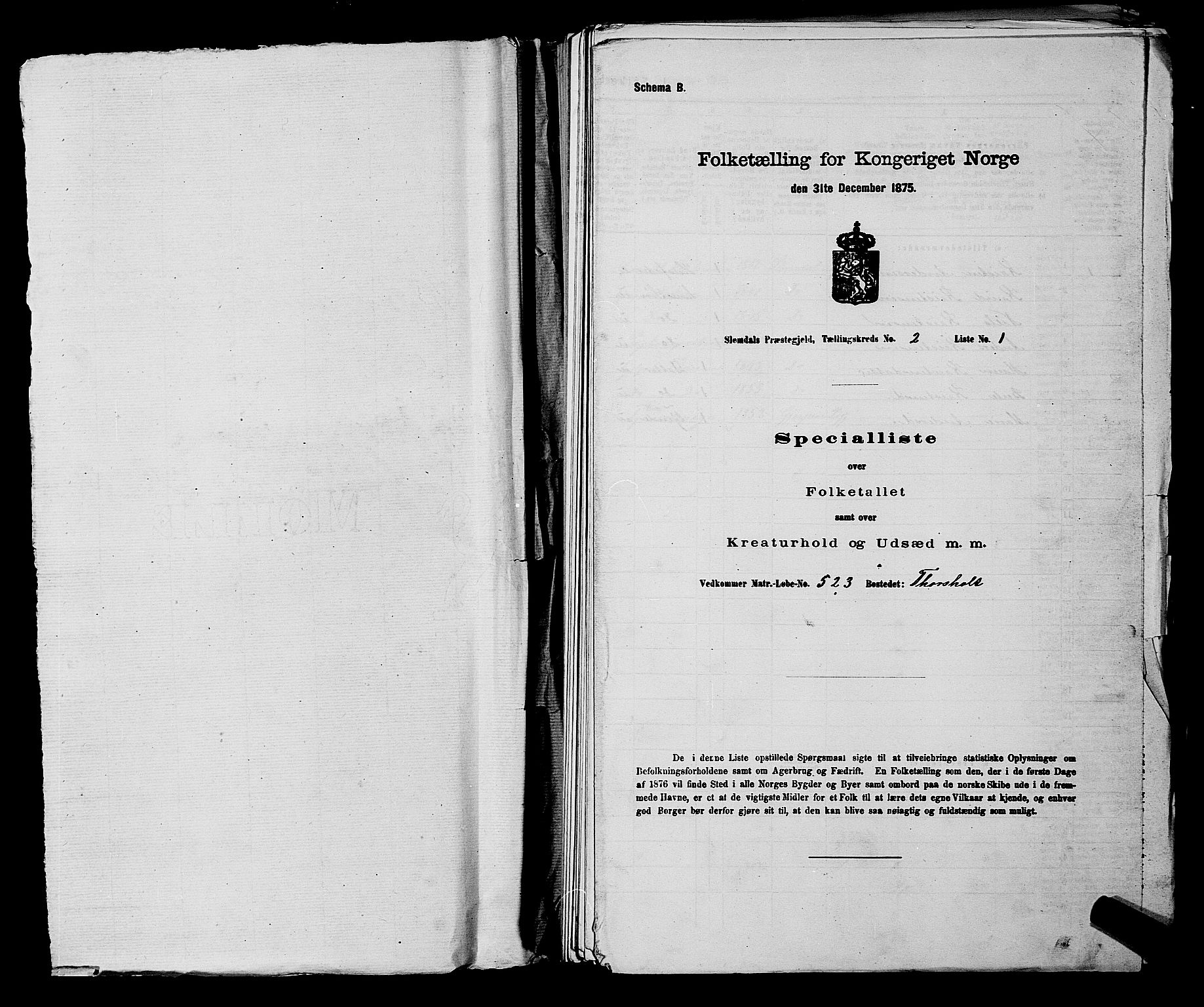 SAKO, 1875 census for 0811P Slemdal, 1875, p. 242