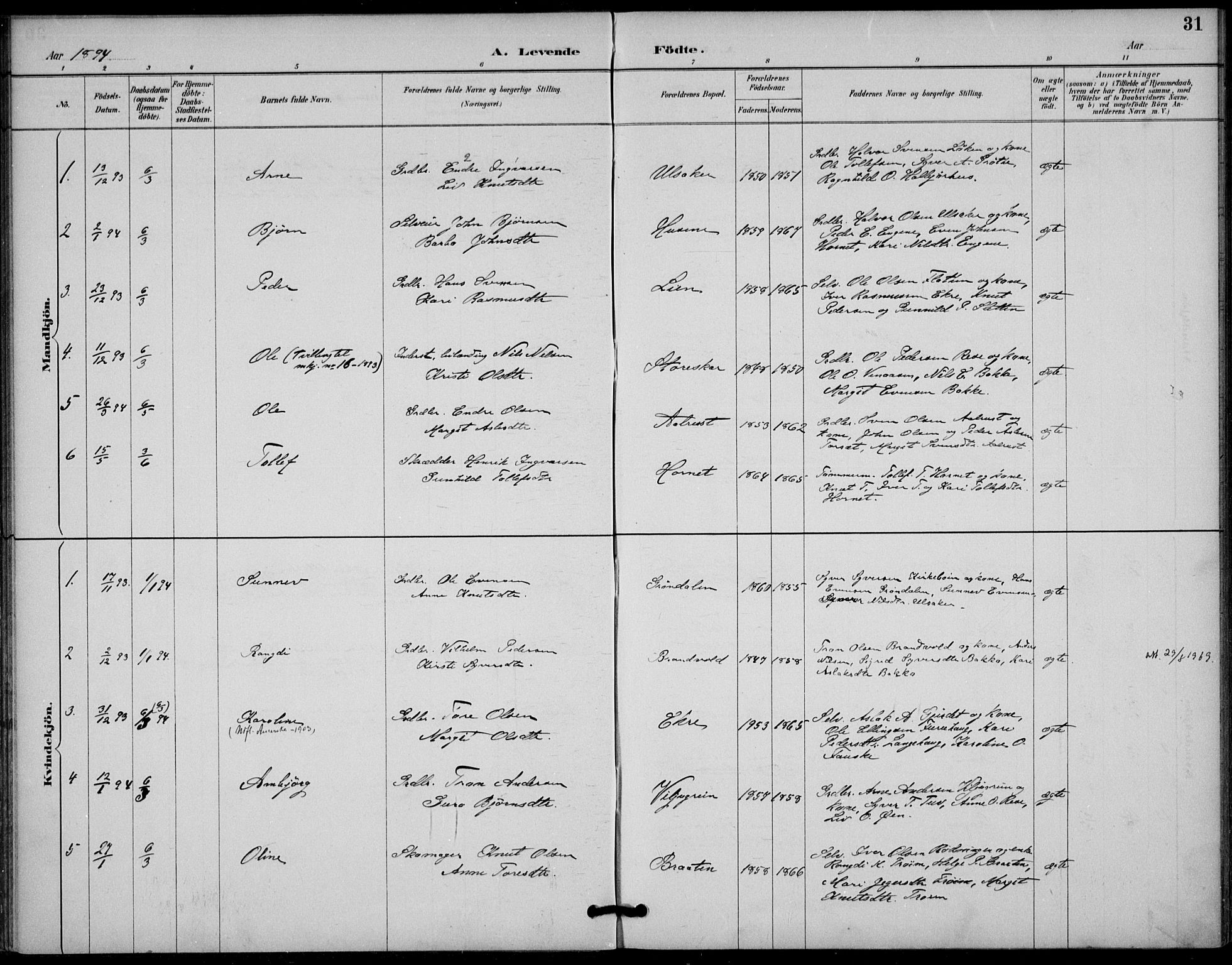 Gol kirkebøker, AV/SAKO-A-226/F/Fb/L0001: Parish register (official) no. II 1, 1887-1900, p. 31