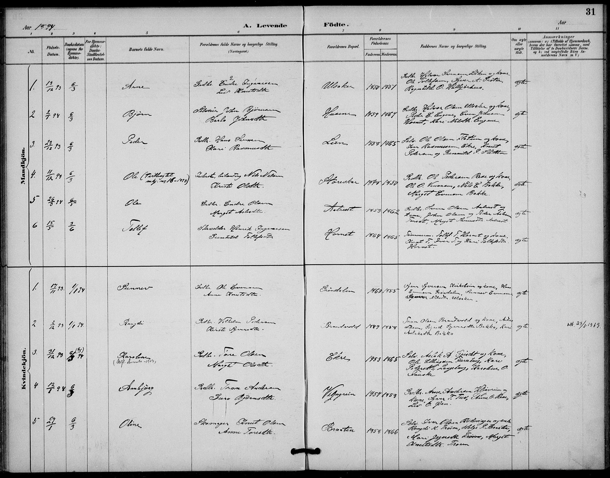 Gol kirkebøker, AV/SAKO-A-226/F/Fb/L0001: Parish register (official) no. II 1, 1887-1900, p. 31