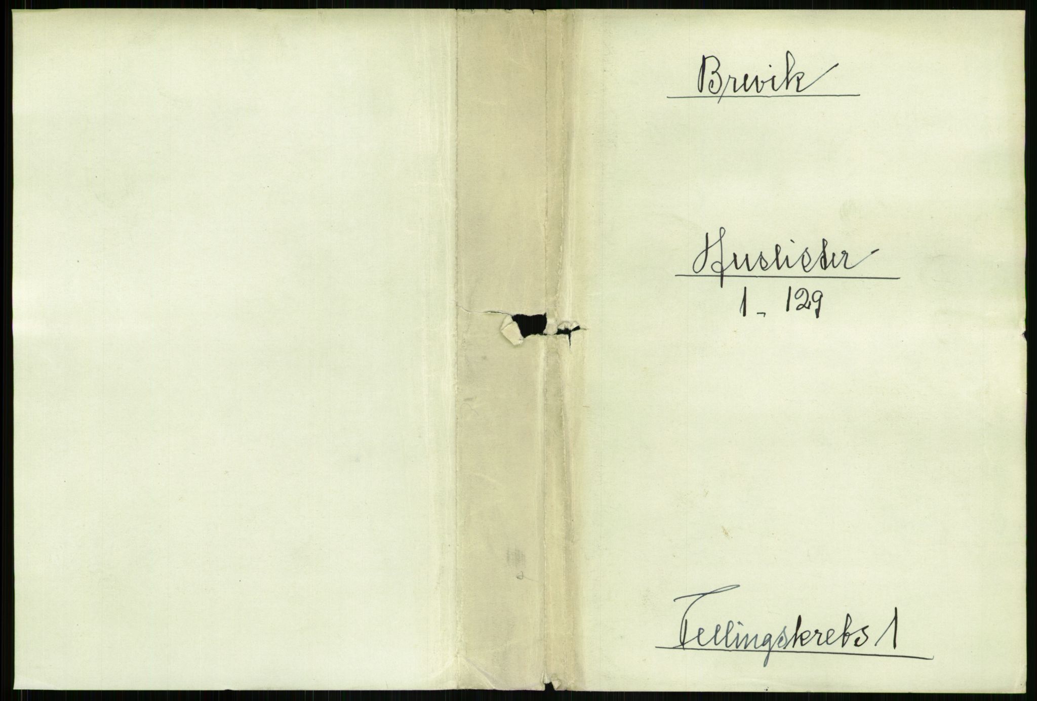 RA, 1891 census for 0804 Brevik, 1891, p. 17