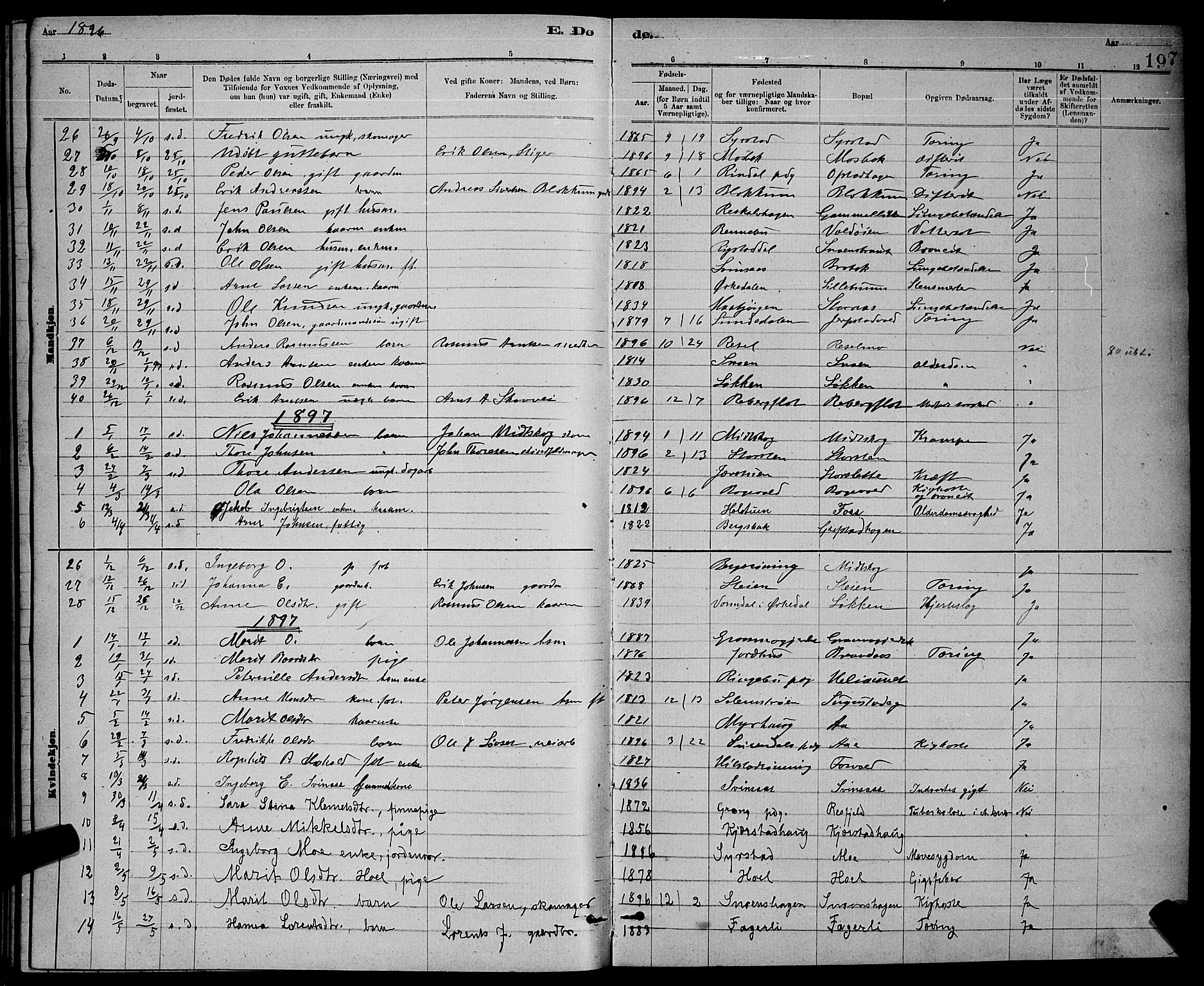 Ministerialprotokoller, klokkerbøker og fødselsregistre - Sør-Trøndelag, AV/SAT-A-1456/672/L0863: Parish register (copy) no. 672C02, 1888-1901, p. 197