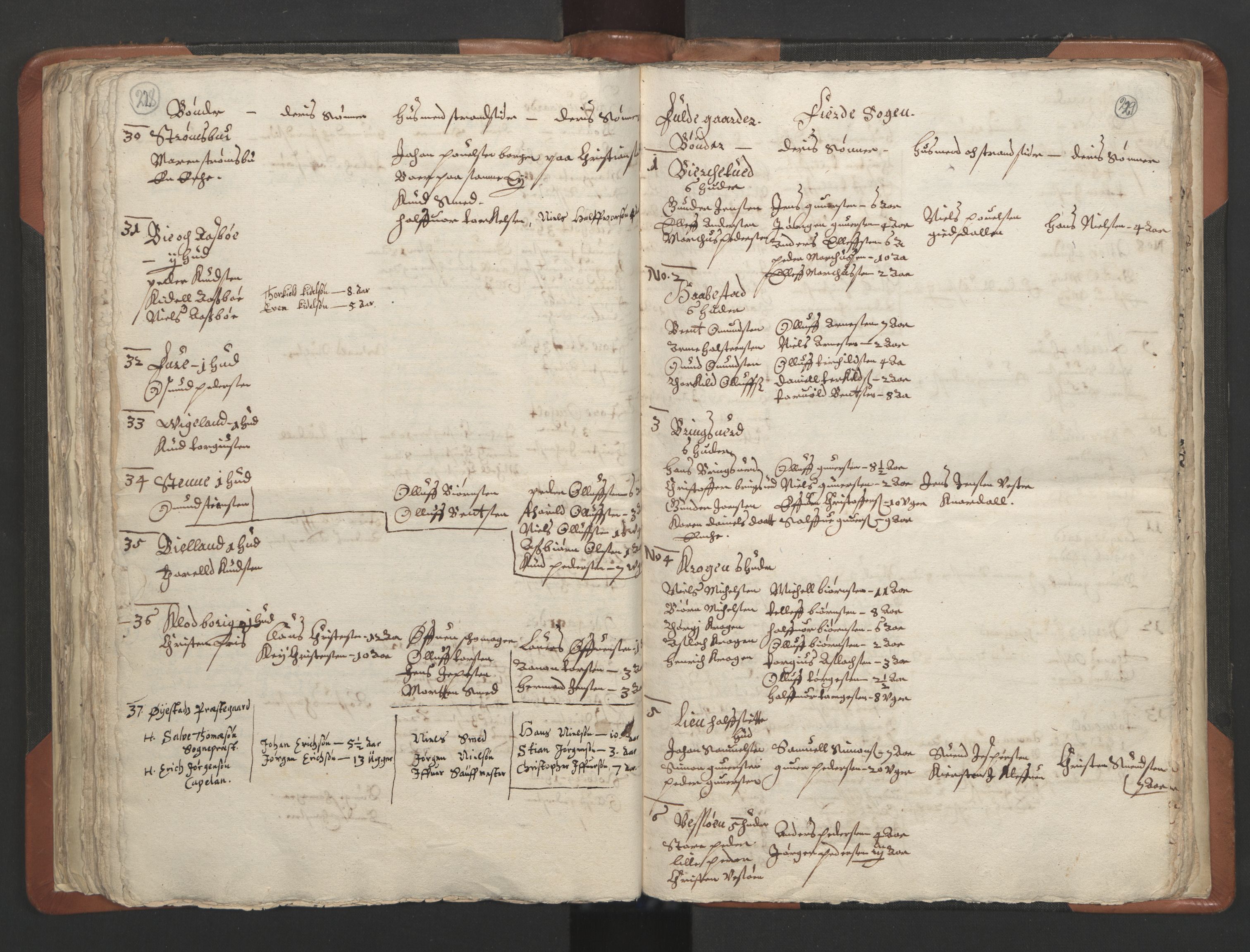 RA, Vicar's Census 1664-1666, no. 13: Nedenes deanery, 1664-1666, p. 228-229