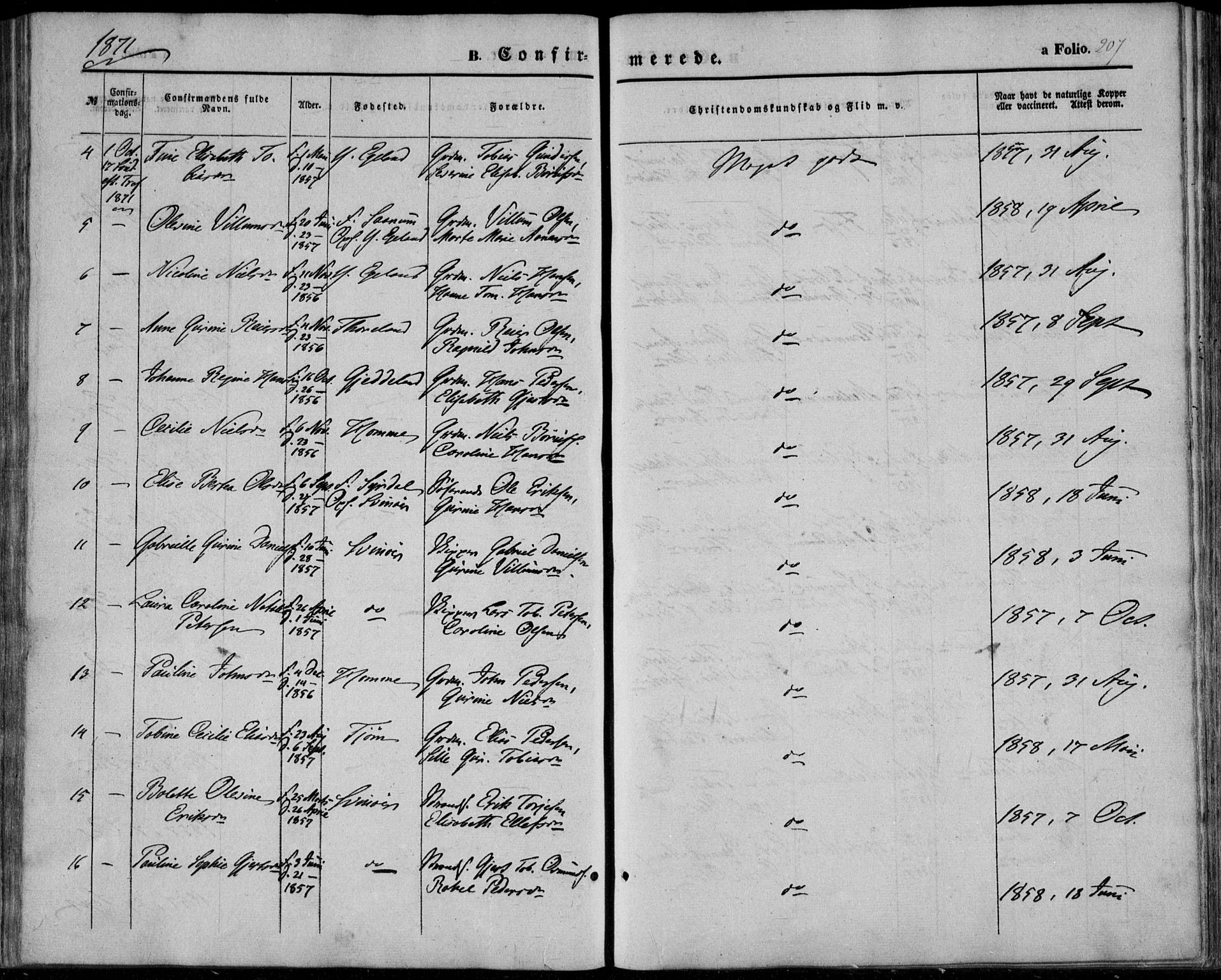 Sør-Audnedal sokneprestkontor, AV/SAK-1111-0039/F/Fa/Fab/L0007: Parish register (official) no. A 7, 1855-1876, p. 207