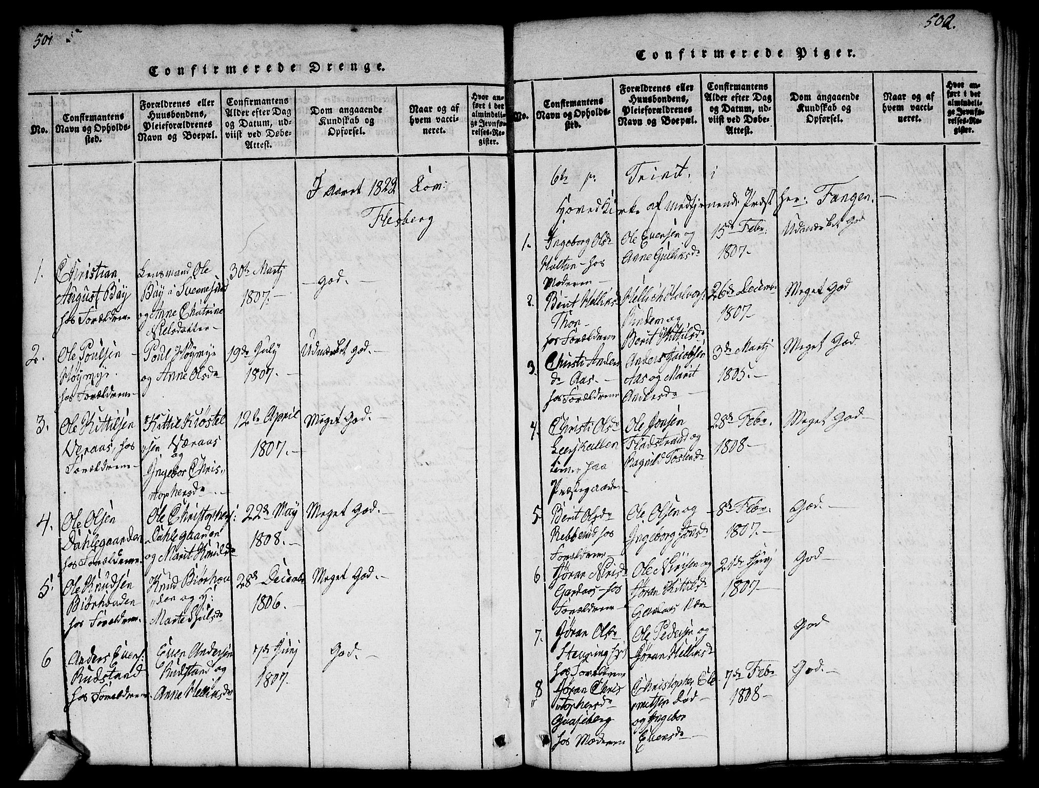Flesberg kirkebøker, SAKO/A-18/G/Ga/L0001: Parish register (copy) no. I 1, 1816-1834, p. 501-502