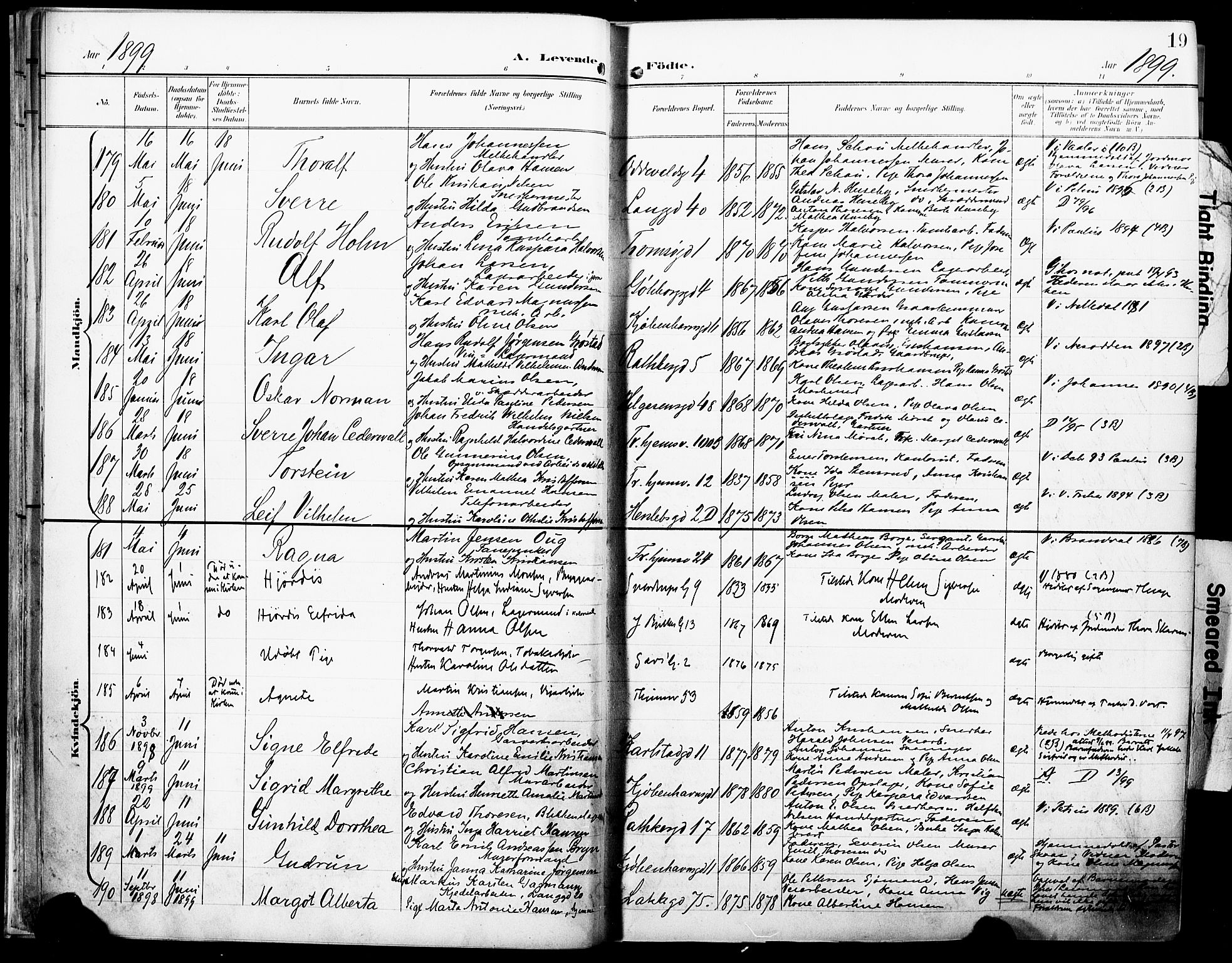 Petrus prestekontor Kirkebøker, AV/SAO-A-10872/F/Fa/L0005: Parish register (official) no. 5, 1899-1903, p. 19