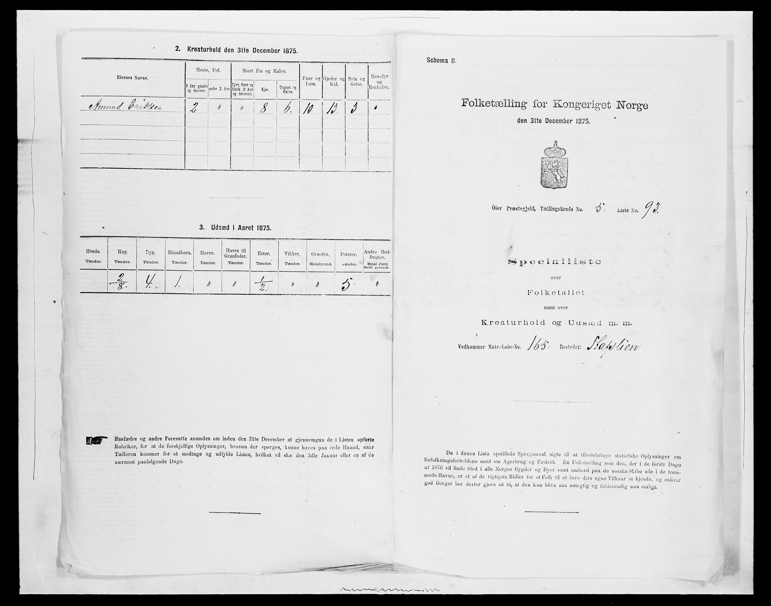 SAH, 1875 census for 0521P Øyer, 1875, p. 1140