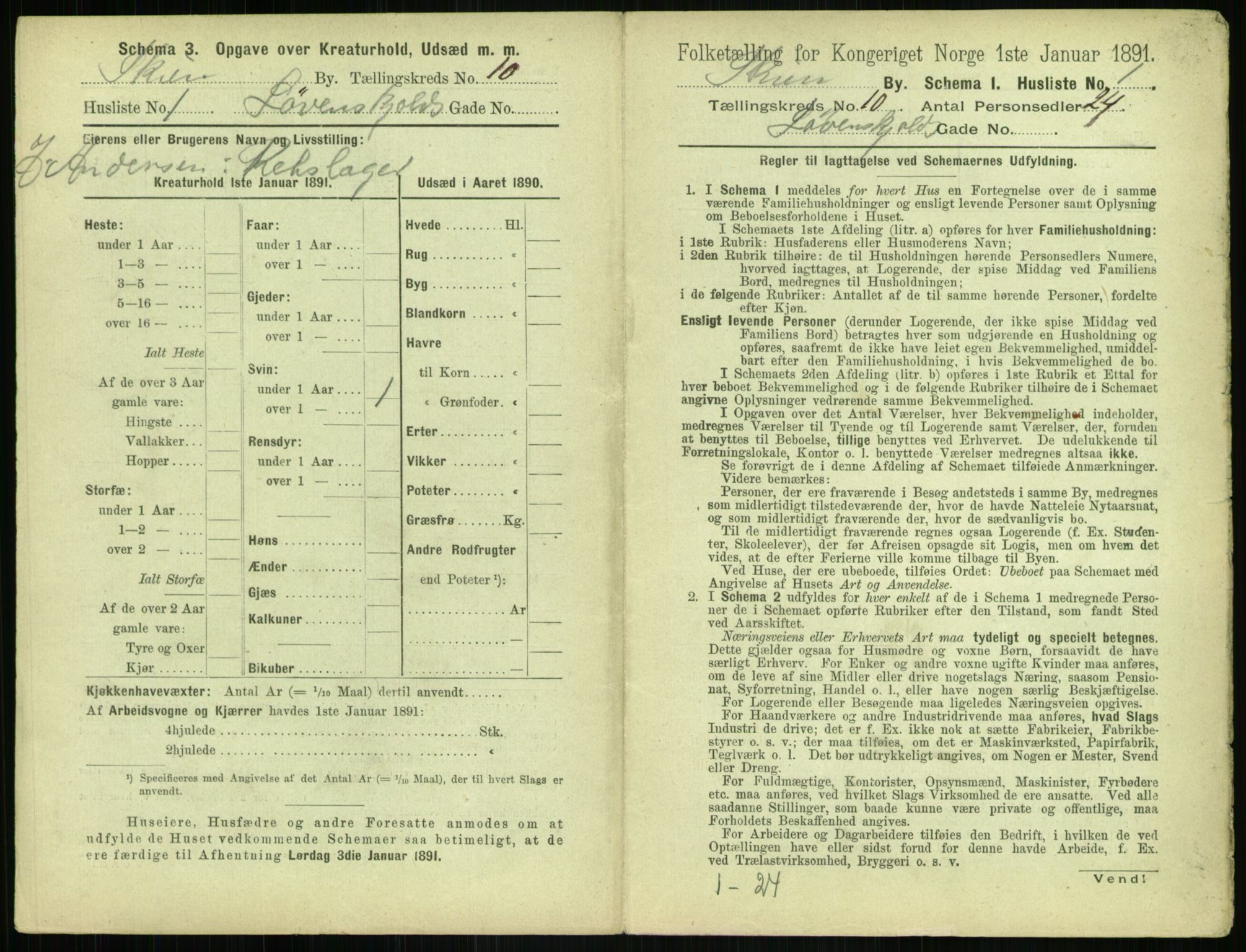 RA, 1891 census for 0806 Skien, 1891, p. 404