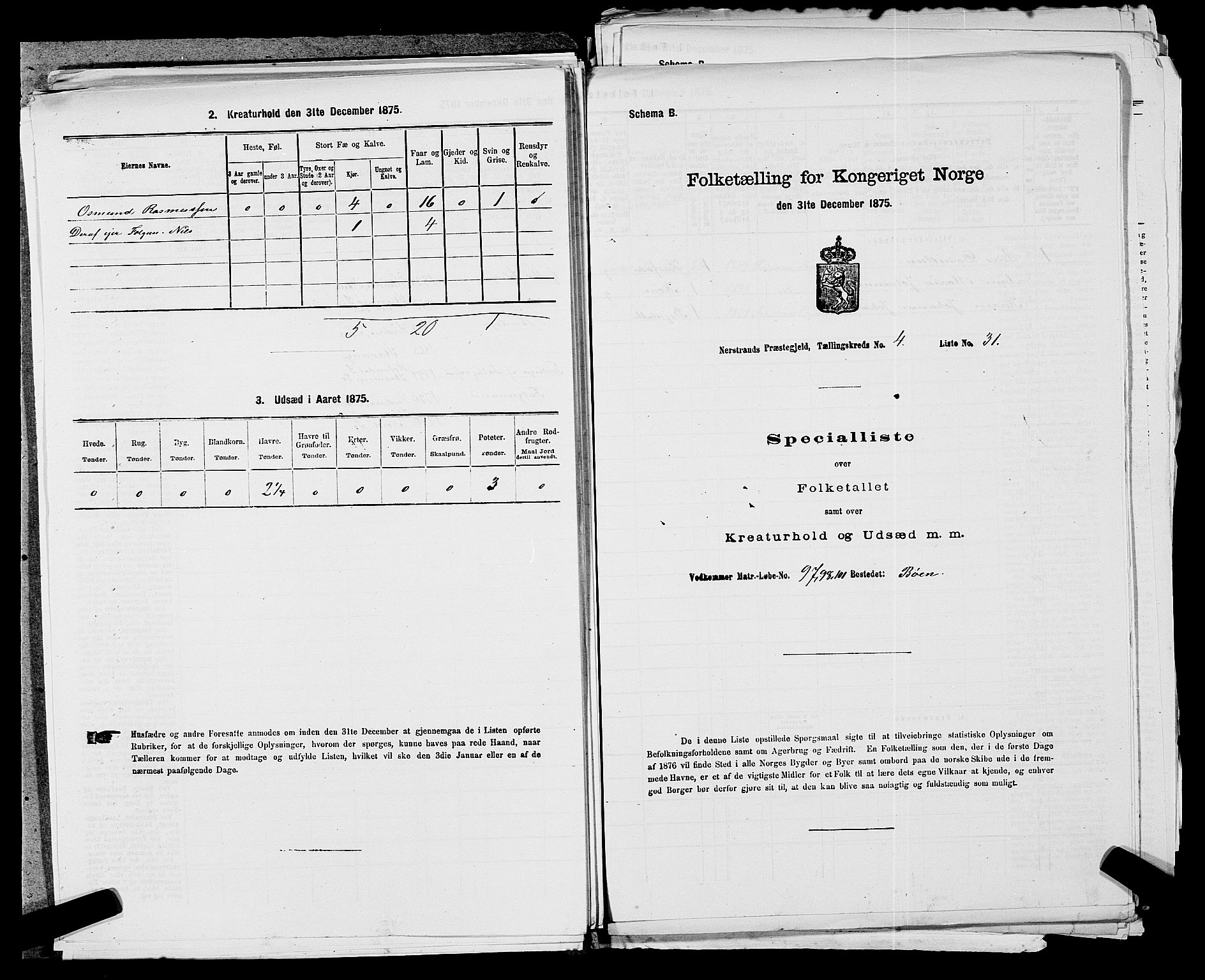 SAST, 1875 census for 1139P Nedstrand, 1875, p. 208
