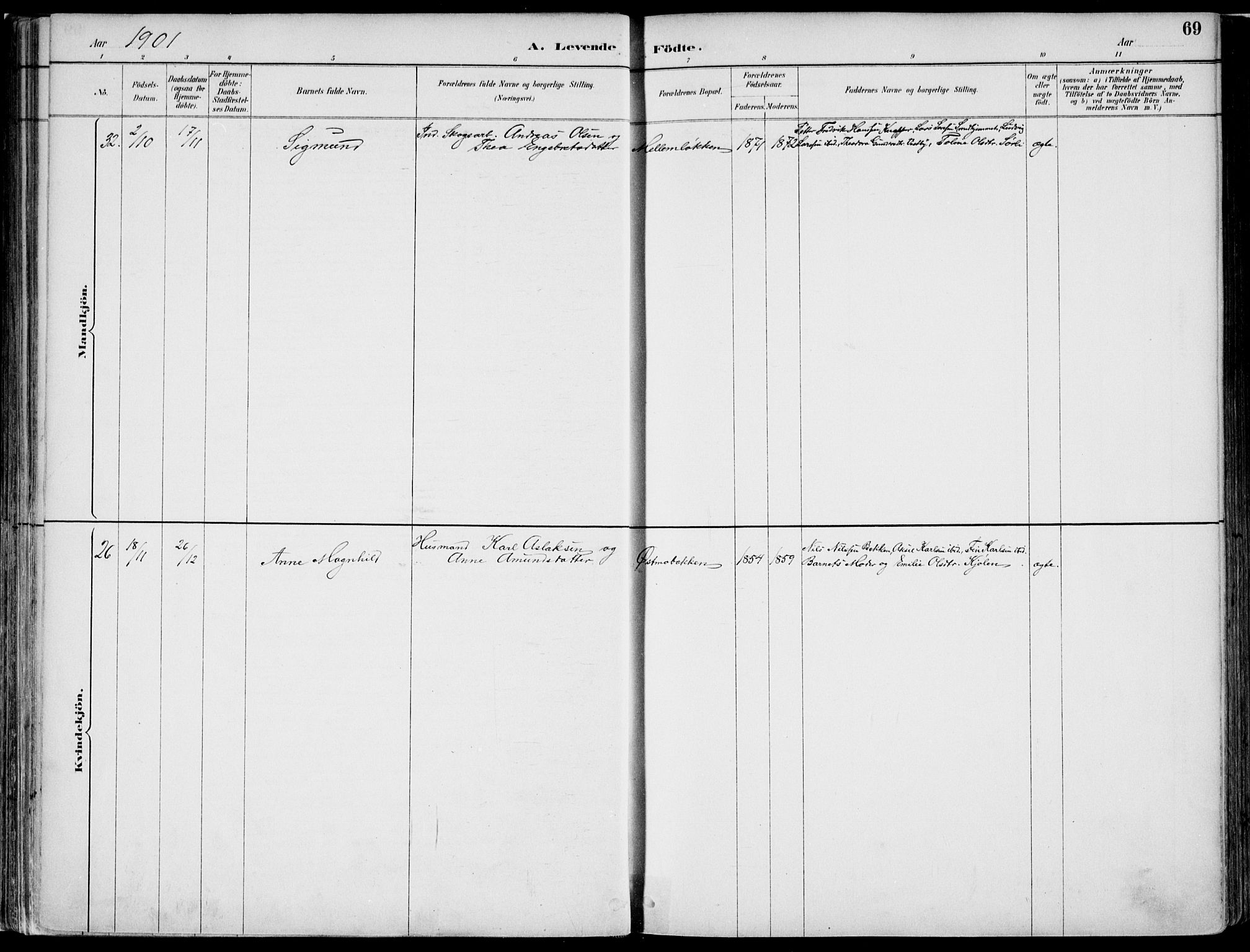 Nord-Odal prestekontor, AV/SAH-PREST-032/H/Ha/Haa/L0008: Parish register (official) no. 8, 1886-1901, p. 69