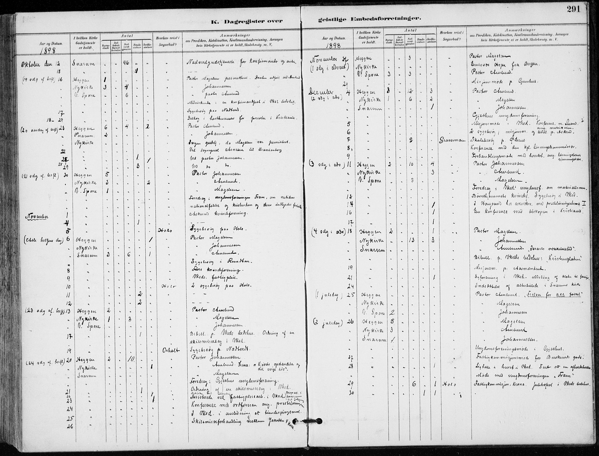 Modum kirkebøker, AV/SAKO-A-234/F/Fa/L0012: Parish register (official) no. 12, 1890-1898, p. 291