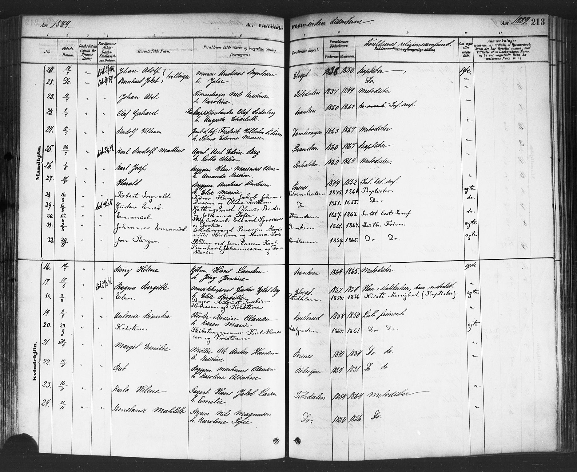 Halden prestekontor Kirkebøker, AV/SAO-A-10909/F/Fa/L0011: Parish register (official) no. I 11, 1878-1889, p. 213