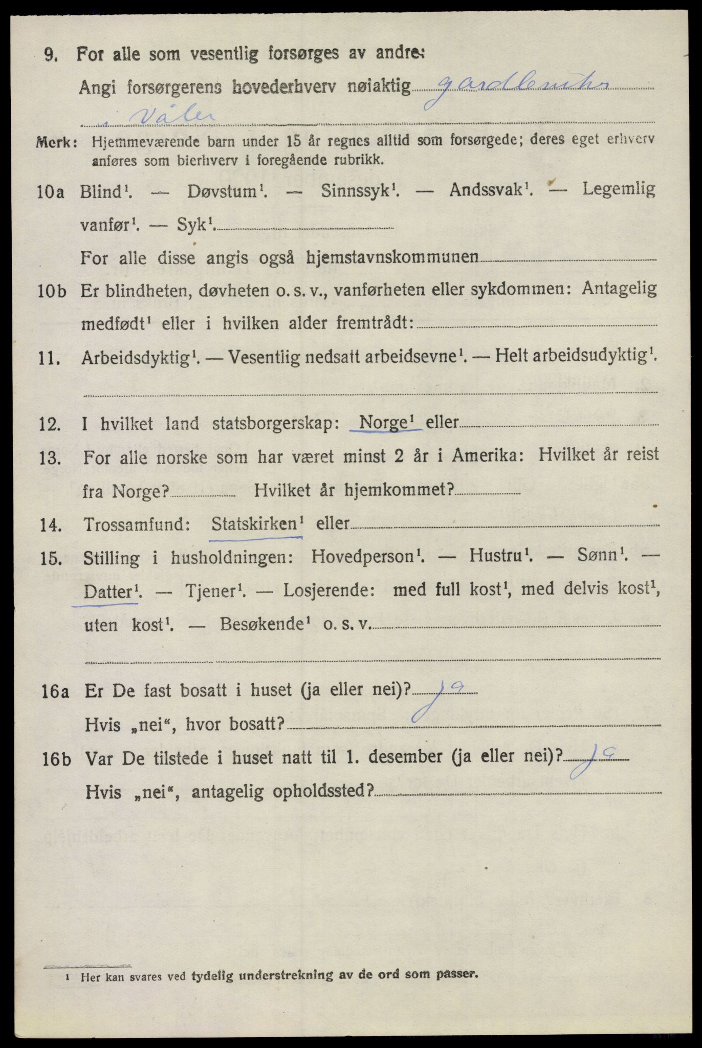 SAO, 1920 census for Våler, 1920, p. 1375