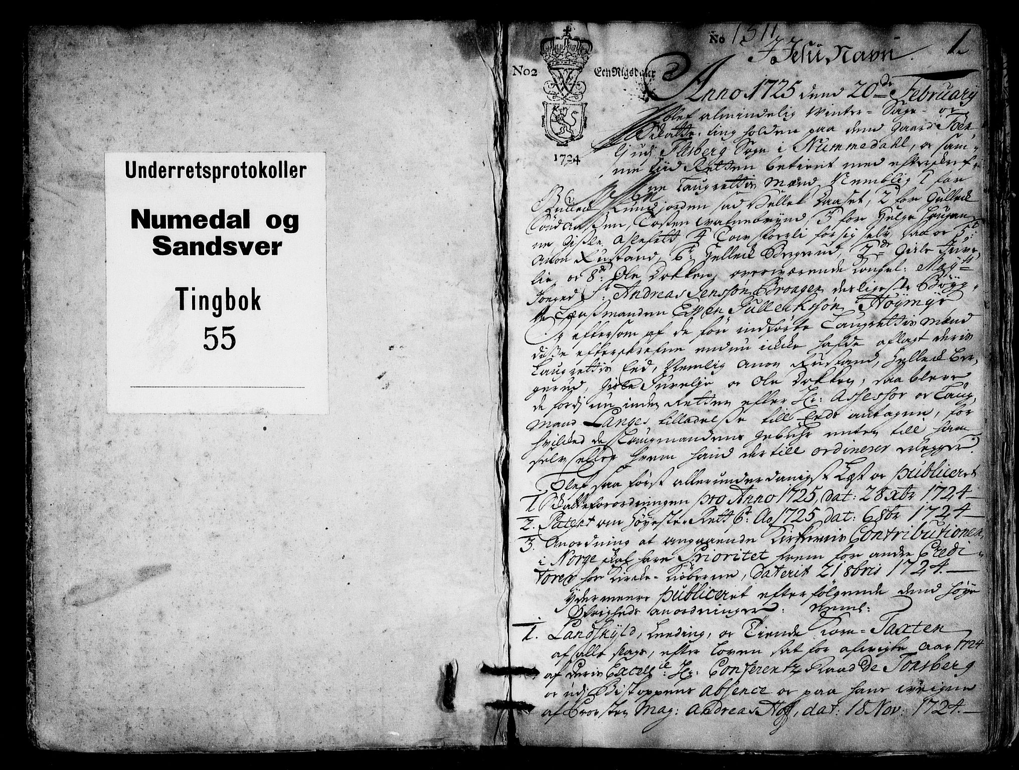 Numedal og Sandsvær sorenskriveri, AV/SAKO-A-128/F/Fa/Faa/L0055: Tingbok, 1725, p. 0b-1a