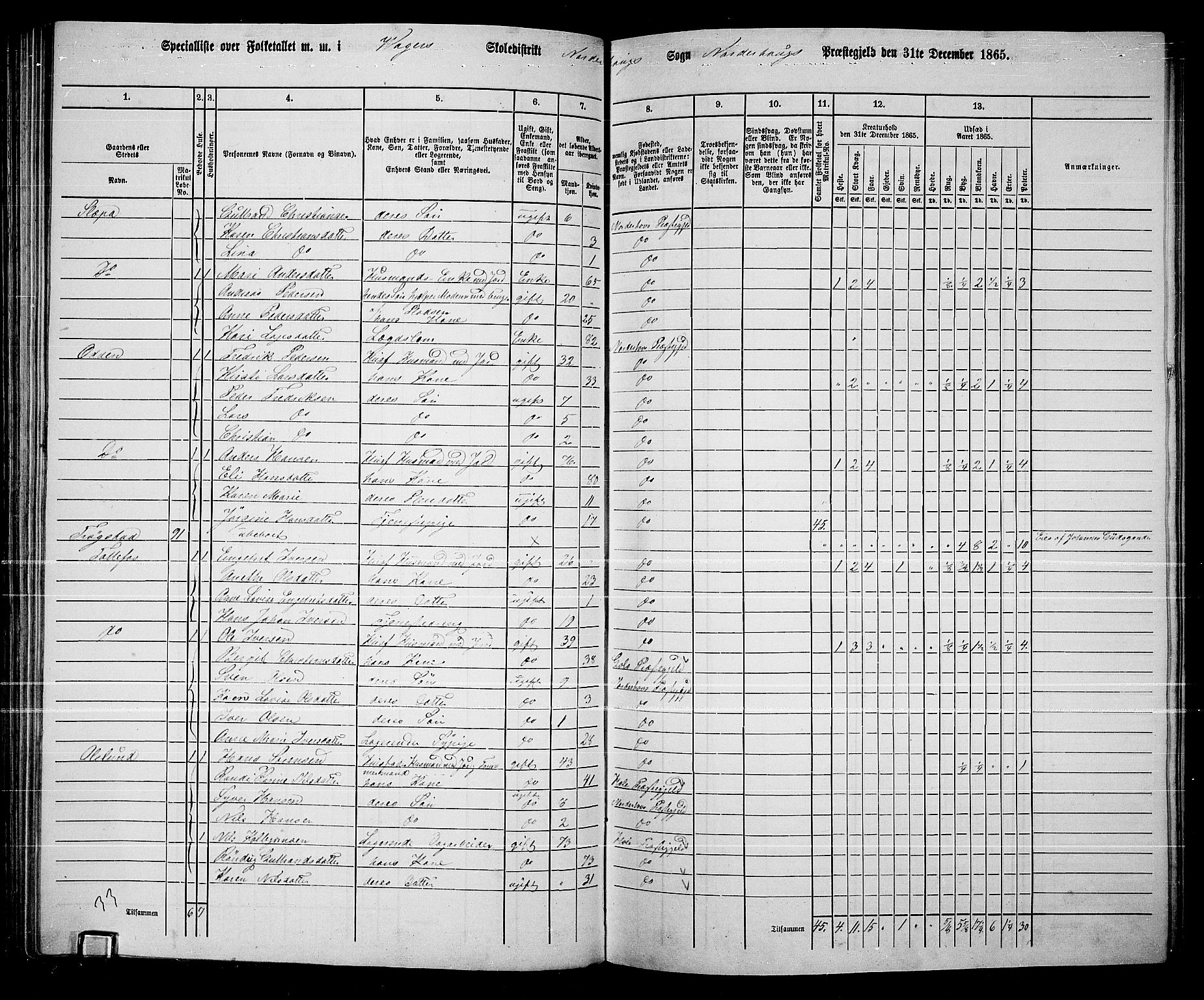 RA, 1865 census for Norderhov/Norderhov, Haug og Lunder, 1865, p. 111