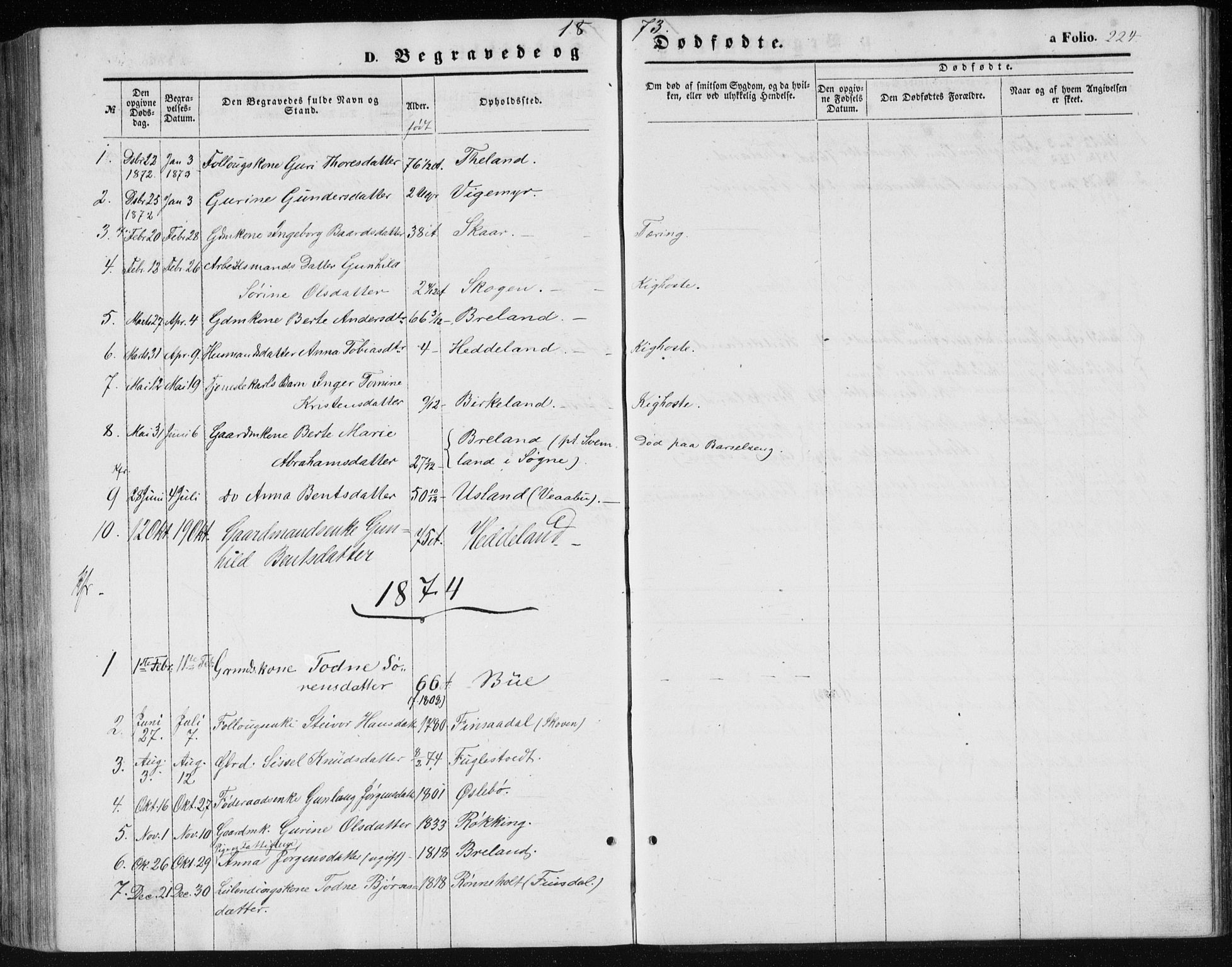 Holum sokneprestkontor, SAK/1111-0022/F/Fb/Fbc/L0002: Parish register (copy) no. B 2, 1860-1882, p. 224