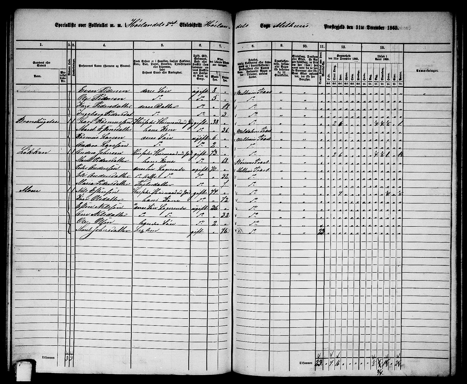 RA, 1865 census for Melhus, 1865, p. 198