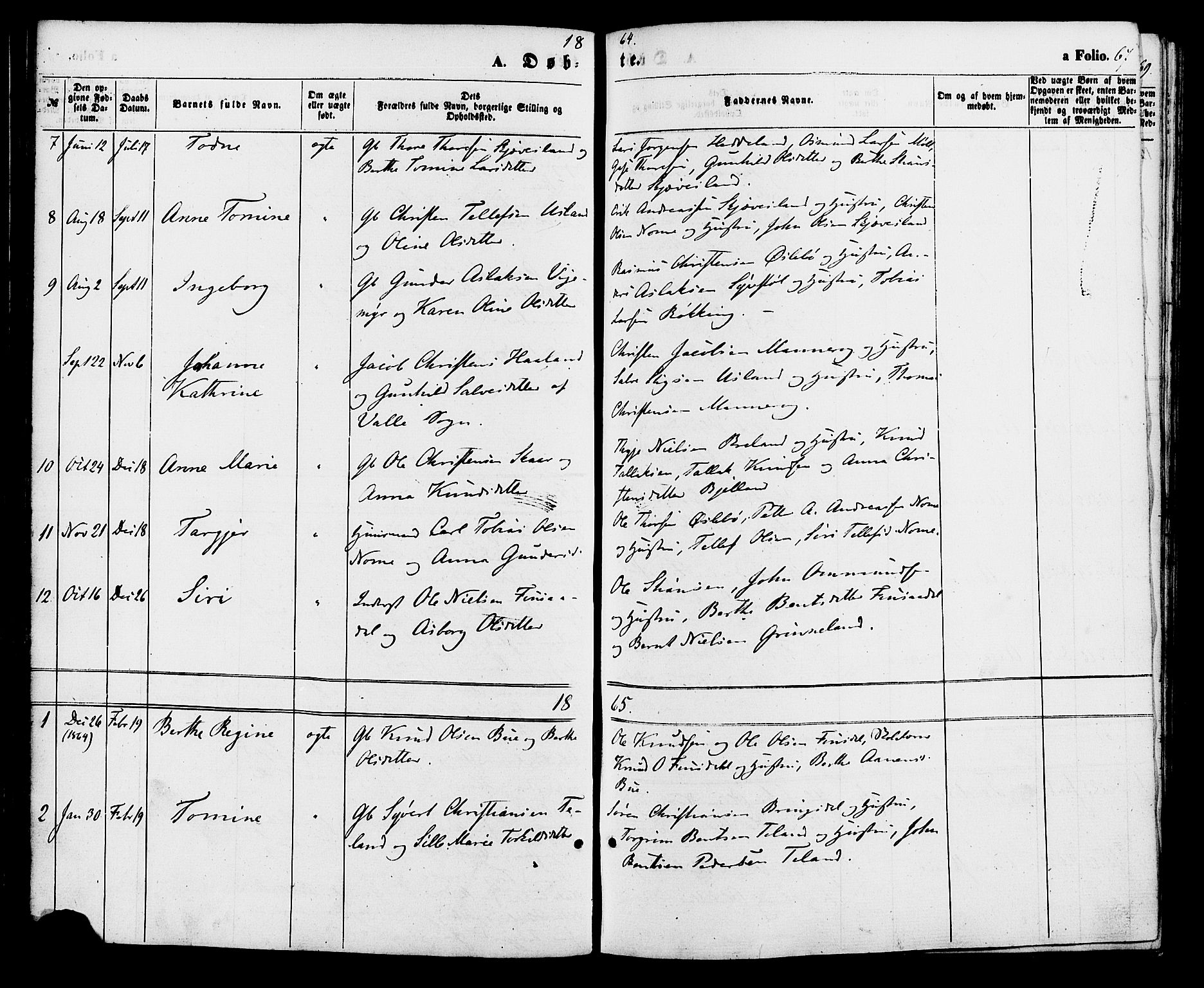 Holum sokneprestkontor, AV/SAK-1111-0022/F/Fa/Fac/L0003: Parish register (official) no. A 3, 1860-1883, p. 67