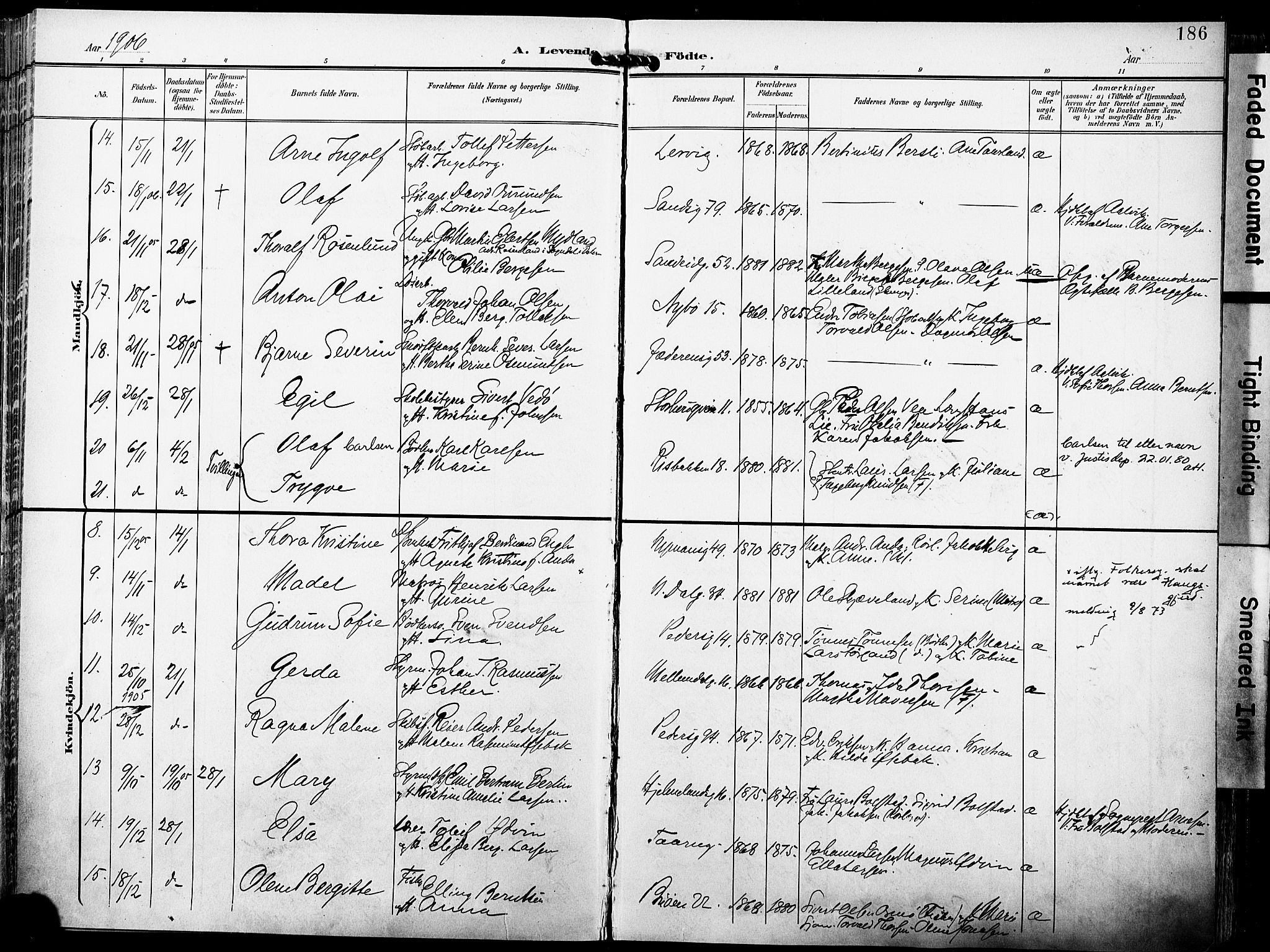 St. Johannes sokneprestkontor, AV/SAST-A-101814/001/30/30BA/L0007: Parish register (official) no. A 7, 1900-1910, p. 186