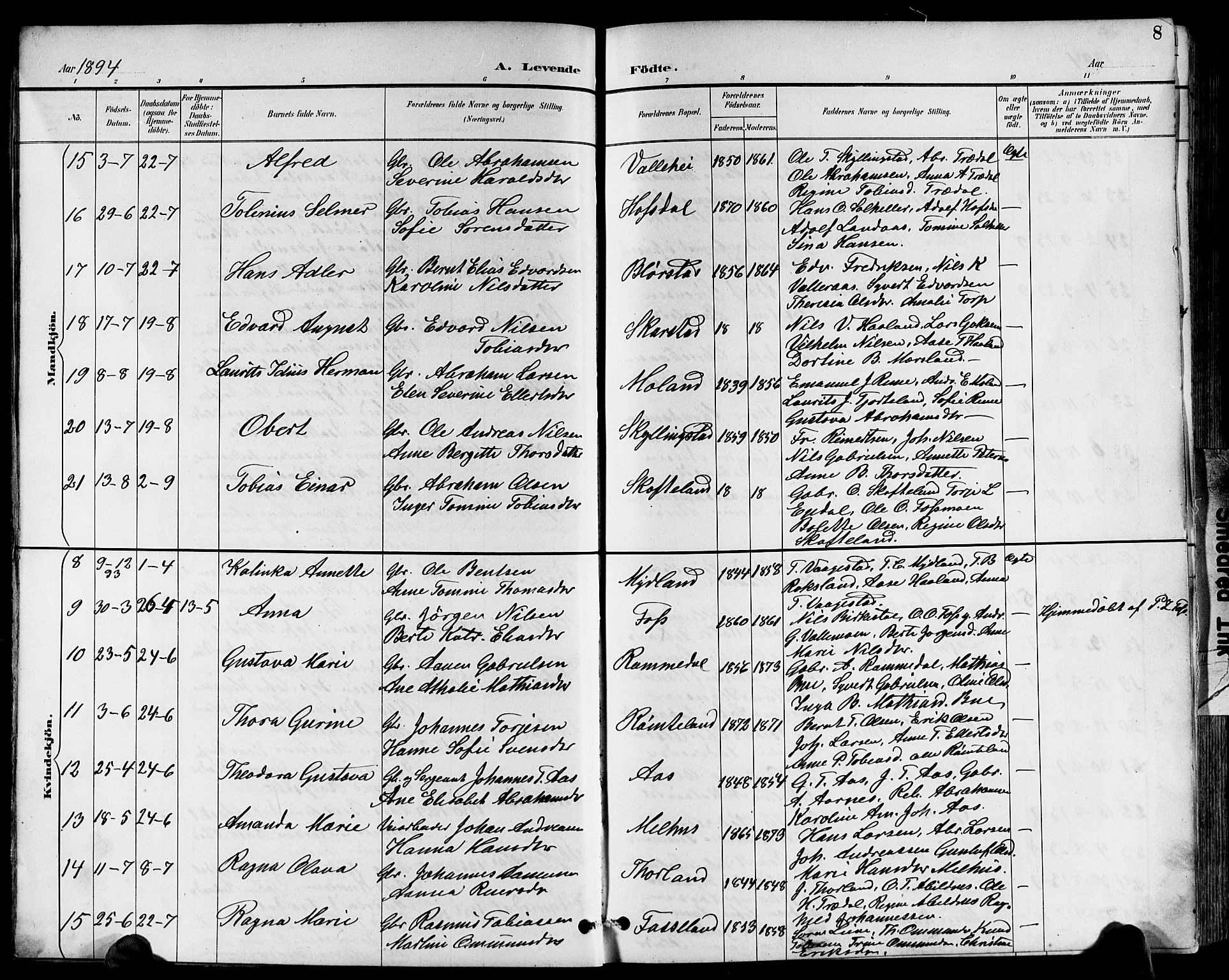 Sør-Audnedal sokneprestkontor, SAK/1111-0039/F/Fb/Fbb/L0006: Parish register (copy) no. B 6, 1893-1915, p. 8
