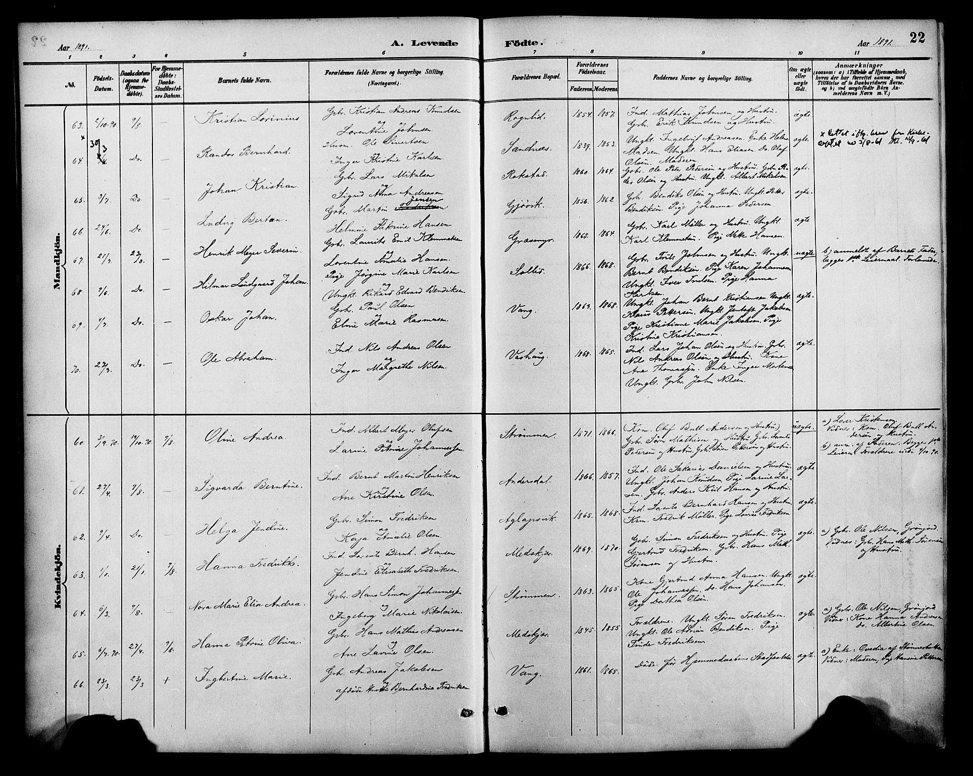 Lenvik sokneprestembete, SATØ/S-1310/H/Ha/Haa/L0013kirke: Parish register (official) no. 13, 1890-1898, p. 22