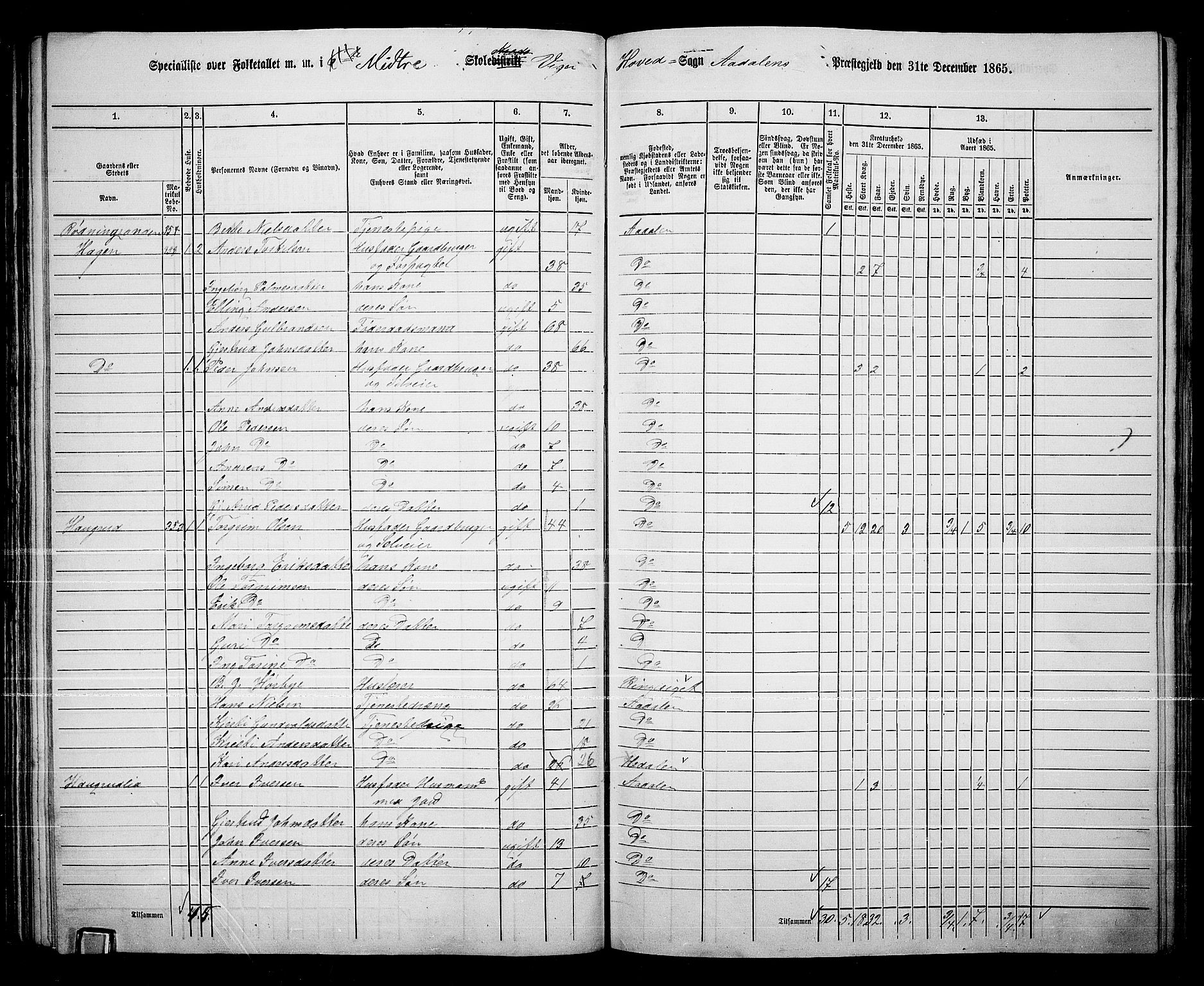 RA, 1865 census for Ådal, 1865, p. 62