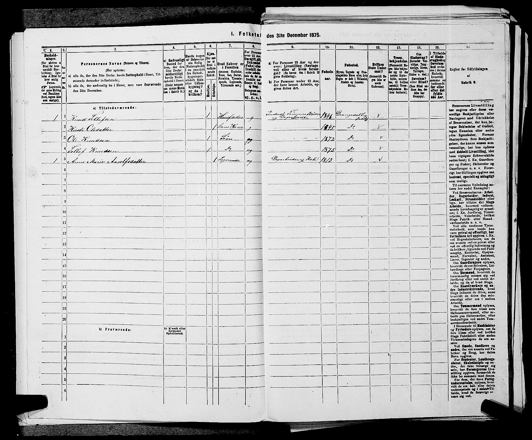 SAKO, 1875 census for 0817P Drangedal, 1875, p. 334