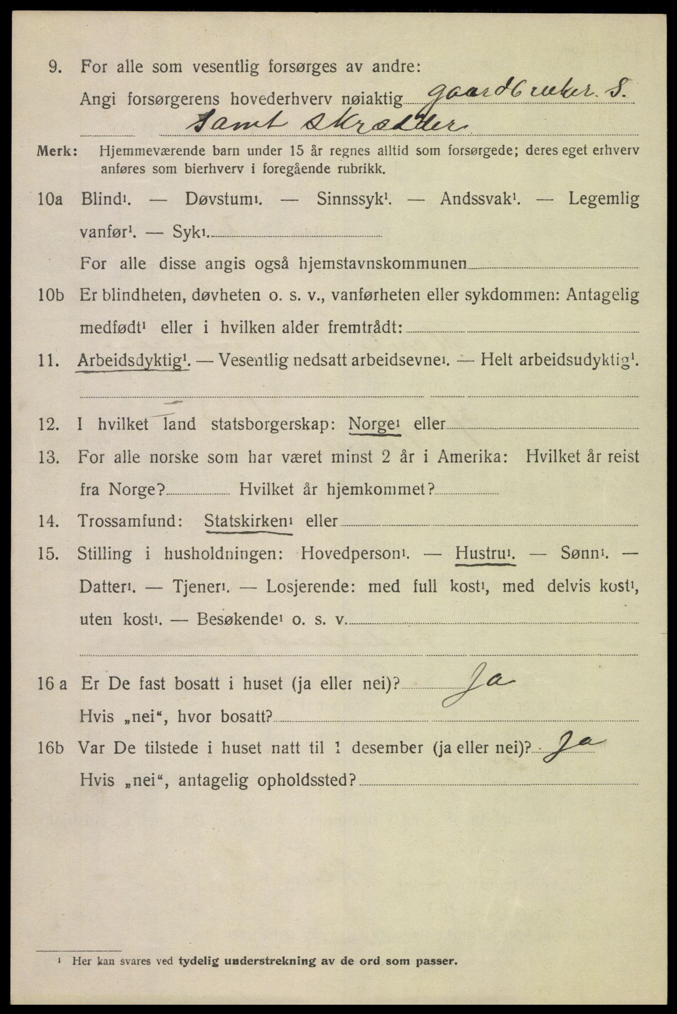 SAH, 1920 census for Vågå, 1920, p. 4703