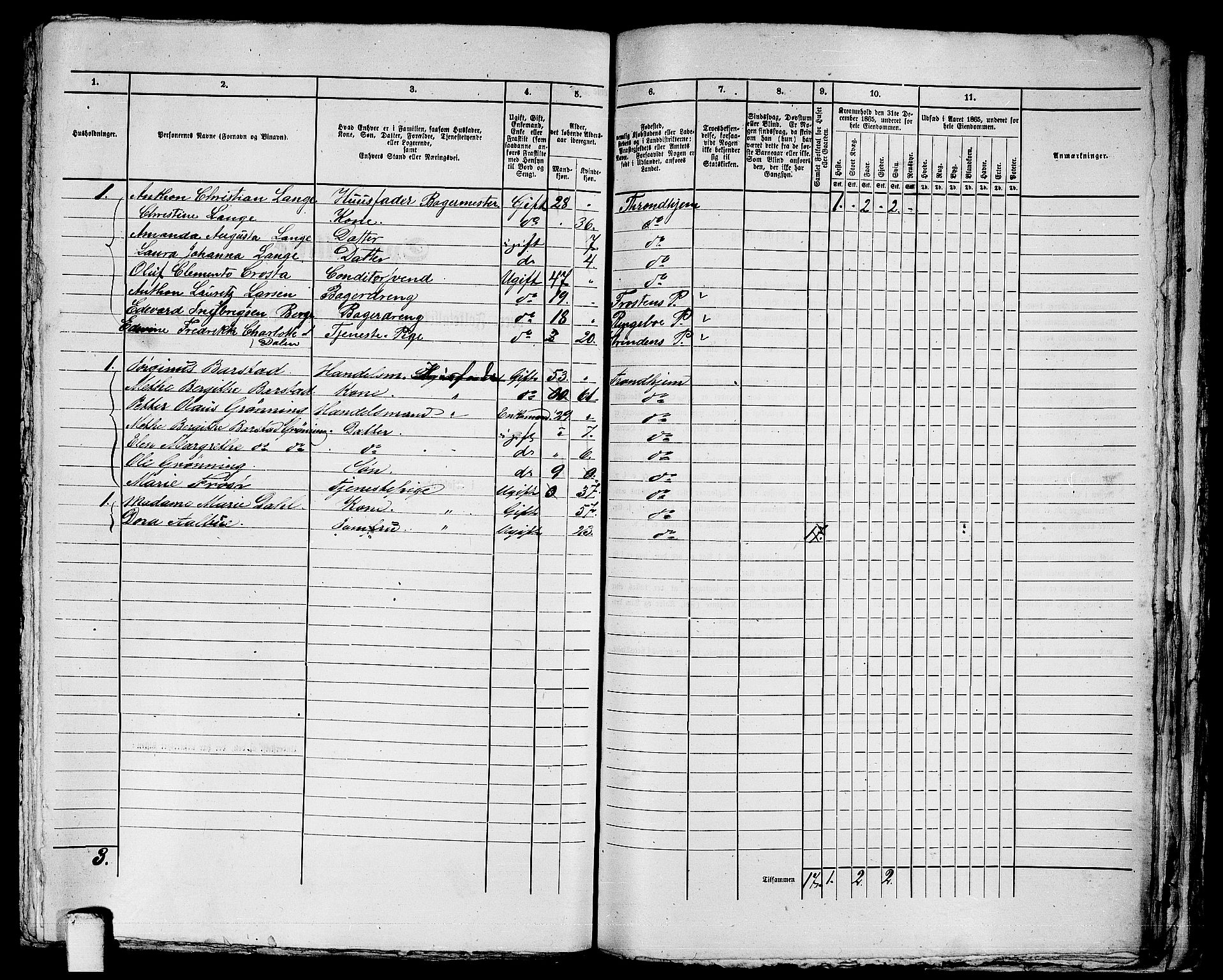 RA, 1865 census for Trondheim, 1865, p. 2529