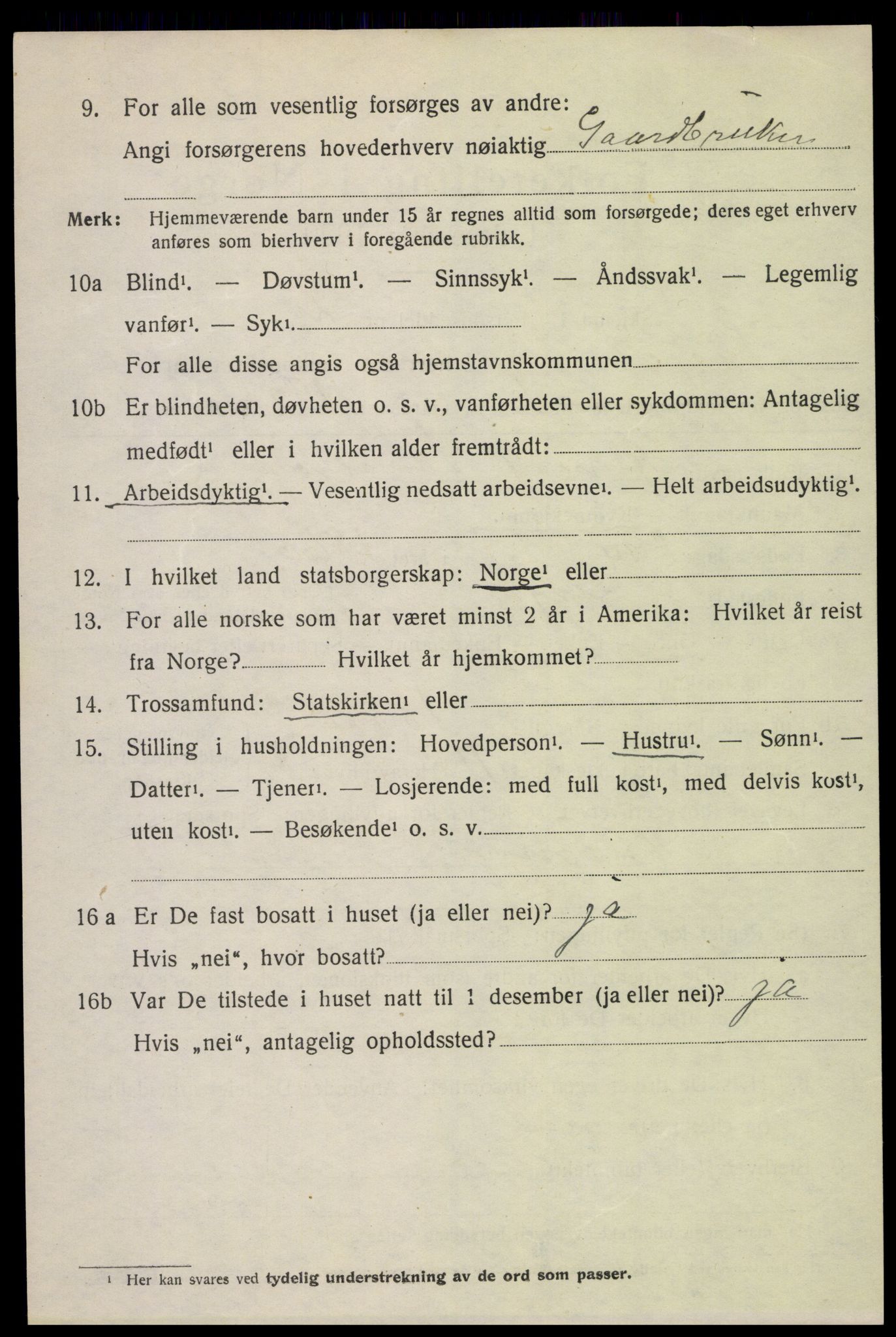 SAH, 1920 census for Lesja, 1920, p. 6135