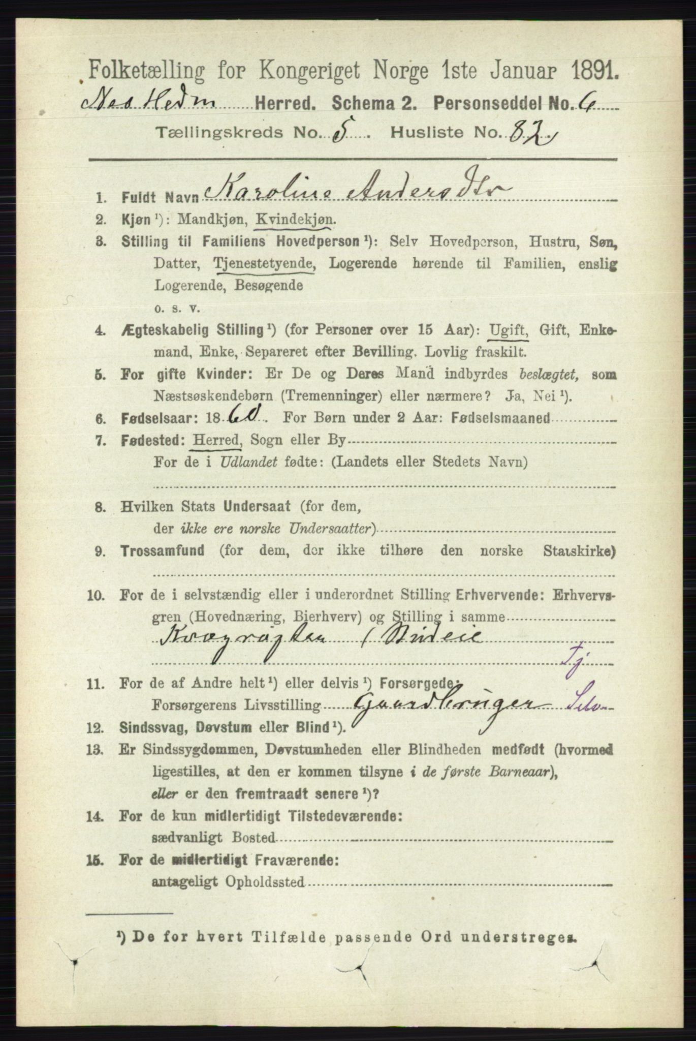 RA, 1891 census for 0411 Nes, 1891, p. 3135