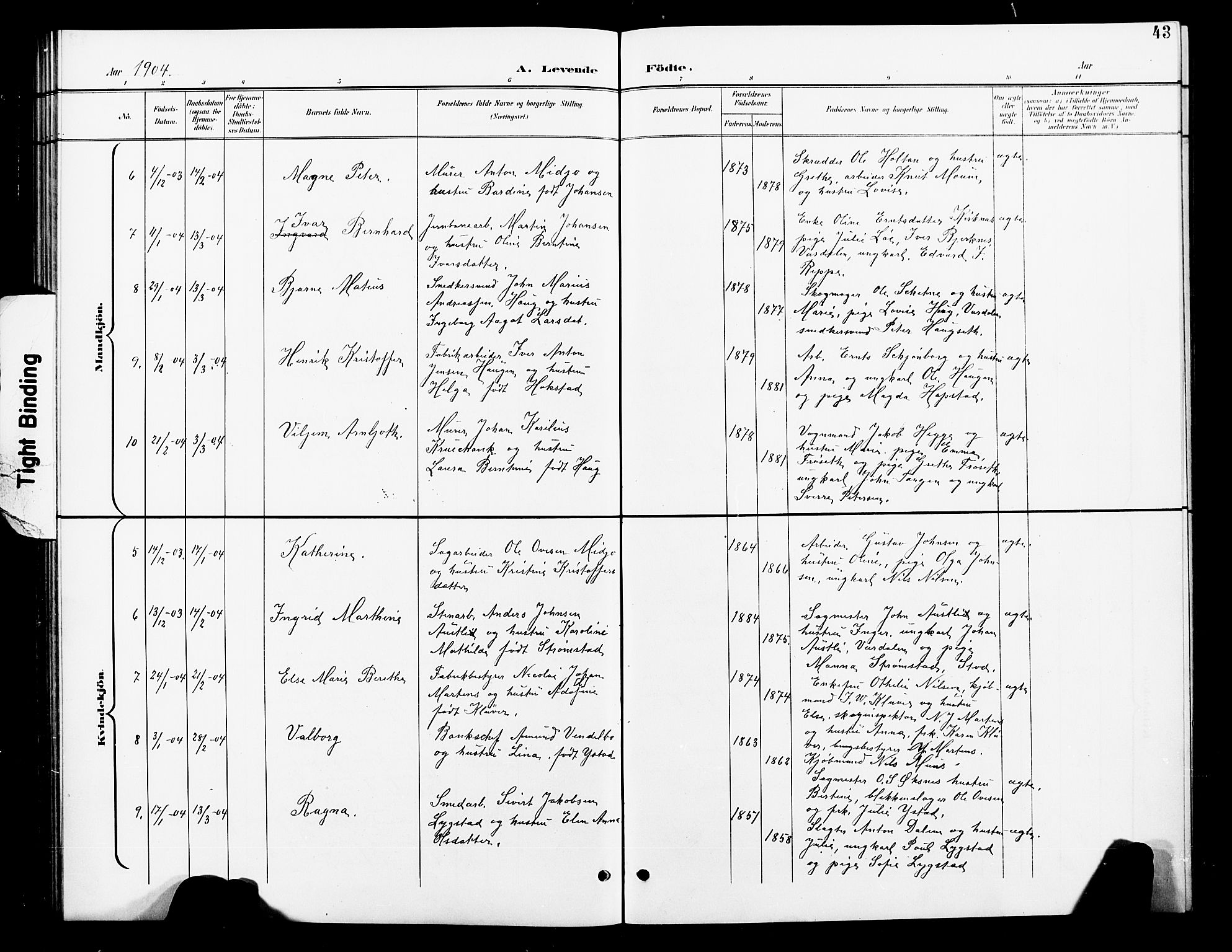 Ministerialprotokoller, klokkerbøker og fødselsregistre - Nord-Trøndelag, SAT/A-1458/739/L0375: Parish register (copy) no. 739C03, 1898-1908, p. 43